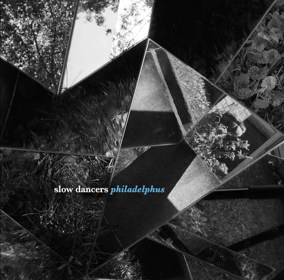 24. Slow Dancers - Philadelphus (Winnipeg)