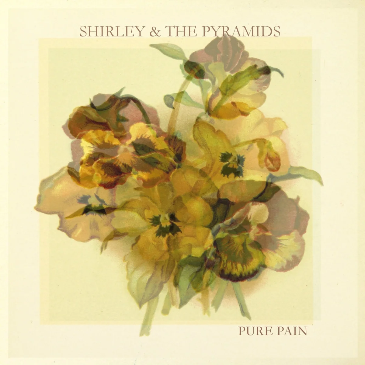 Video Premiere: Shirley & The Pyramids - More Than The Sun