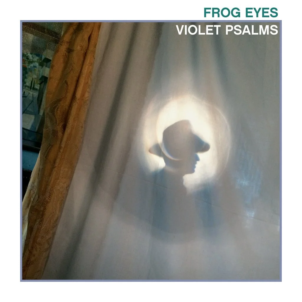 frog-eyes-violet.jpg