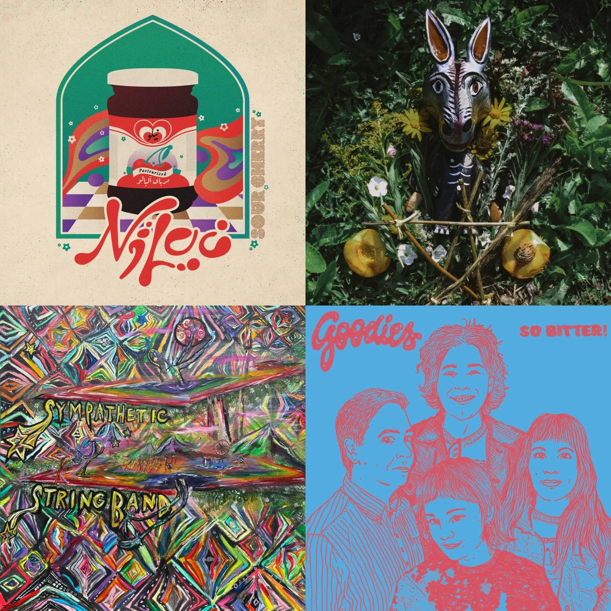 niloo, Antenna93, Sympathetic String Band, and Goodies