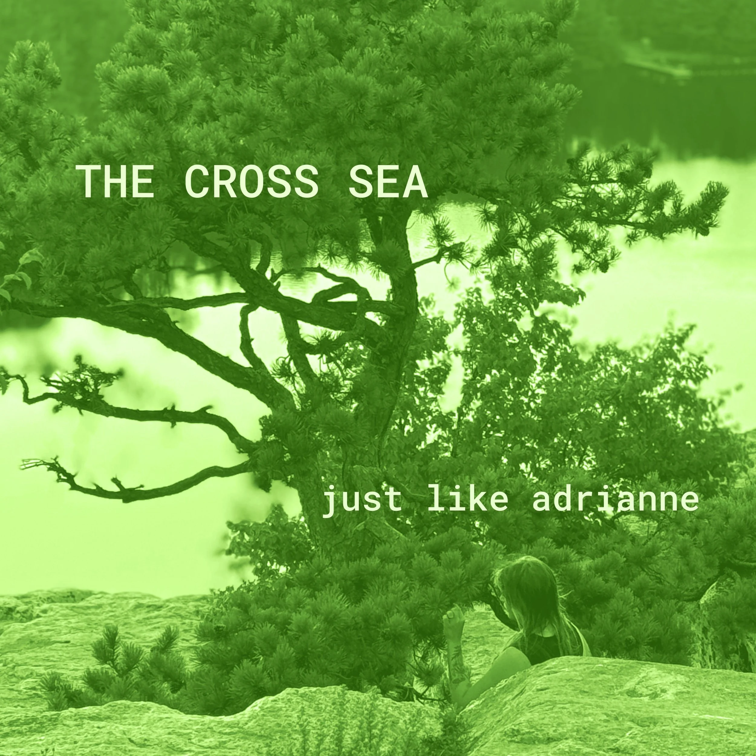 Premiere: The Cross Sea - “Just Like Adrianne”