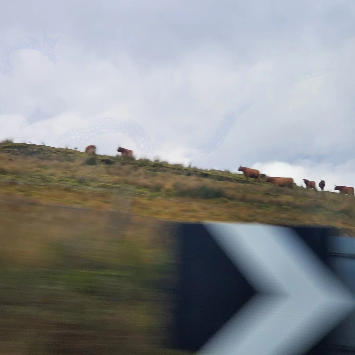 Premiere: roko's basilisk - the past that's to come