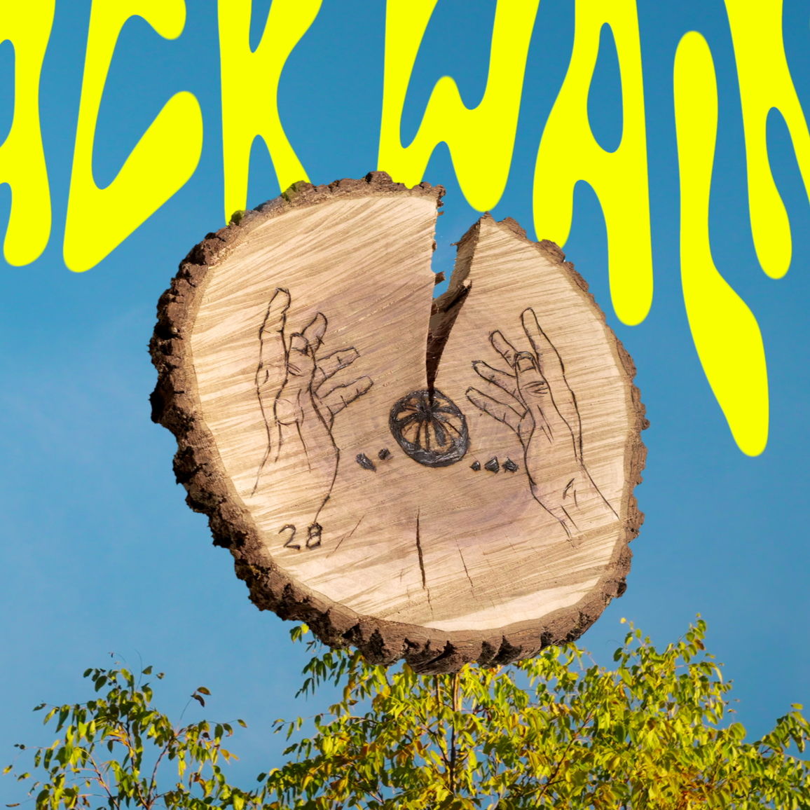 Video Premiere: SHEBAD - “Black Walnut”