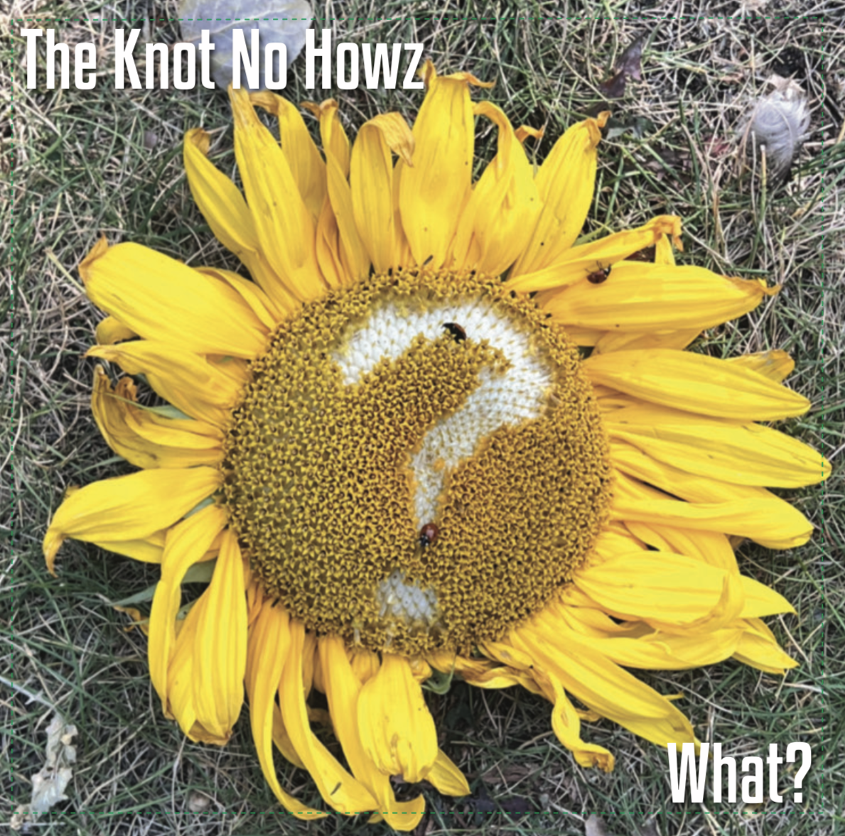 Premiere: The Knot No Howz - “Pacific Rim”