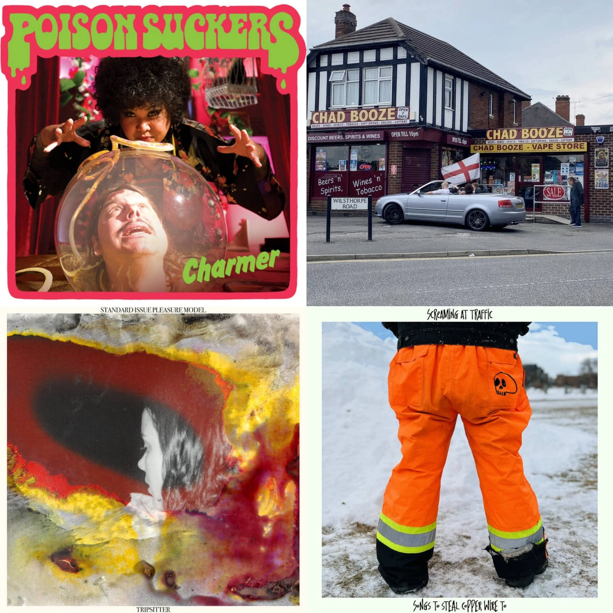 Poison Suckers, shirehead, Standard Issue Pleasure Model, and Screaming at Traffic