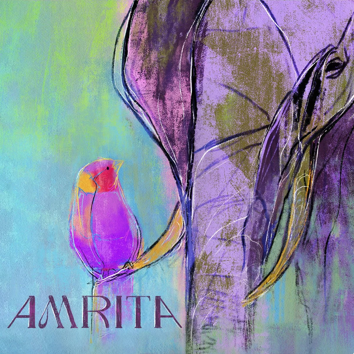 AMRITA - S/T