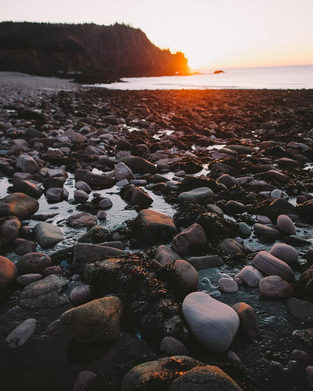 Photo: Terrill Sands