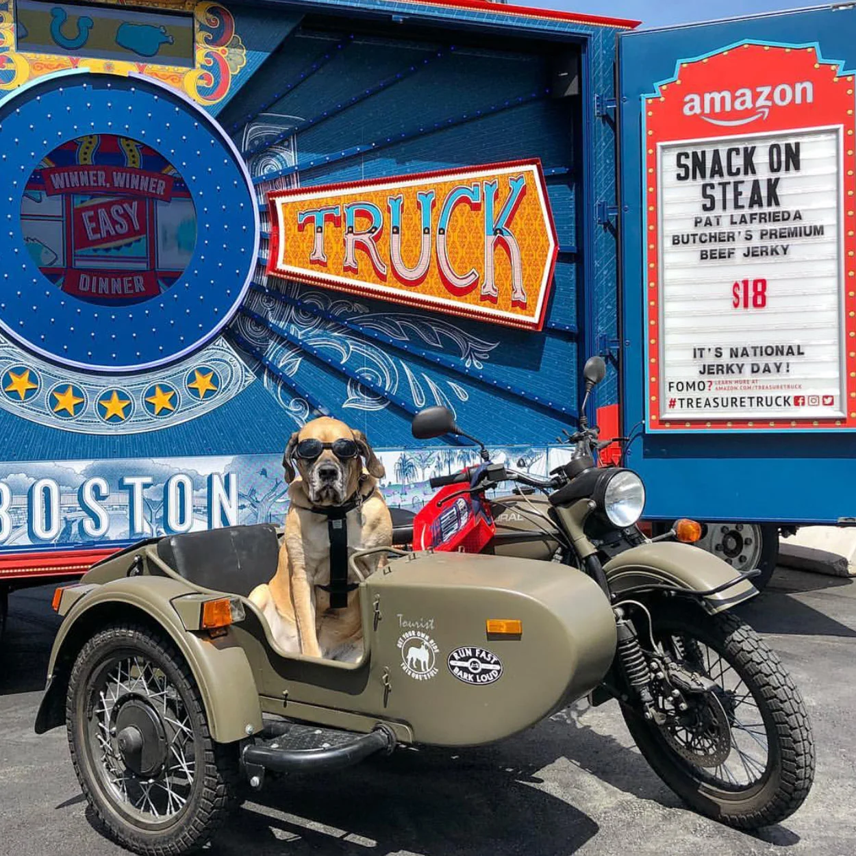 morganmastiff.jpg