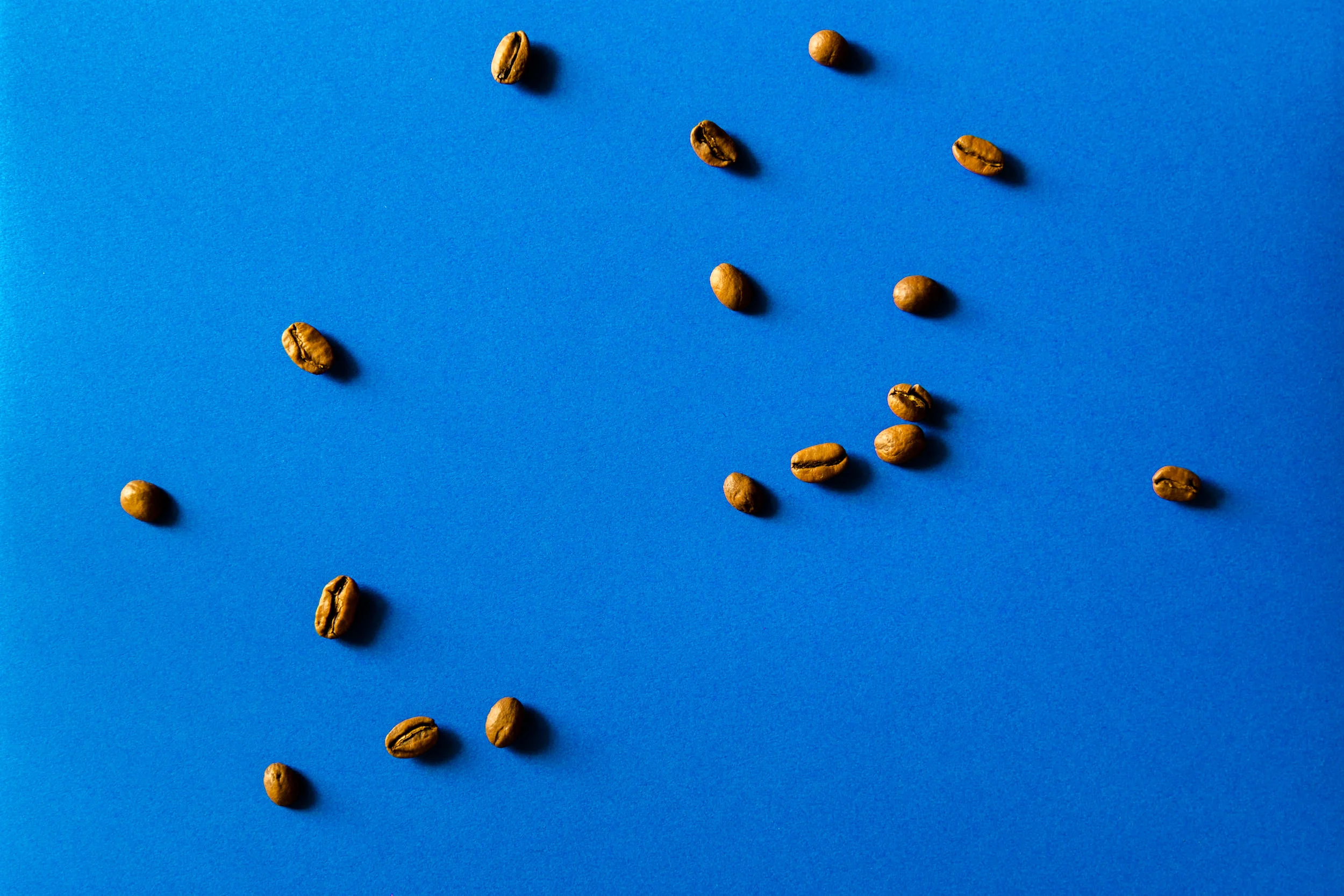 blue-carsandcoffee.jpg