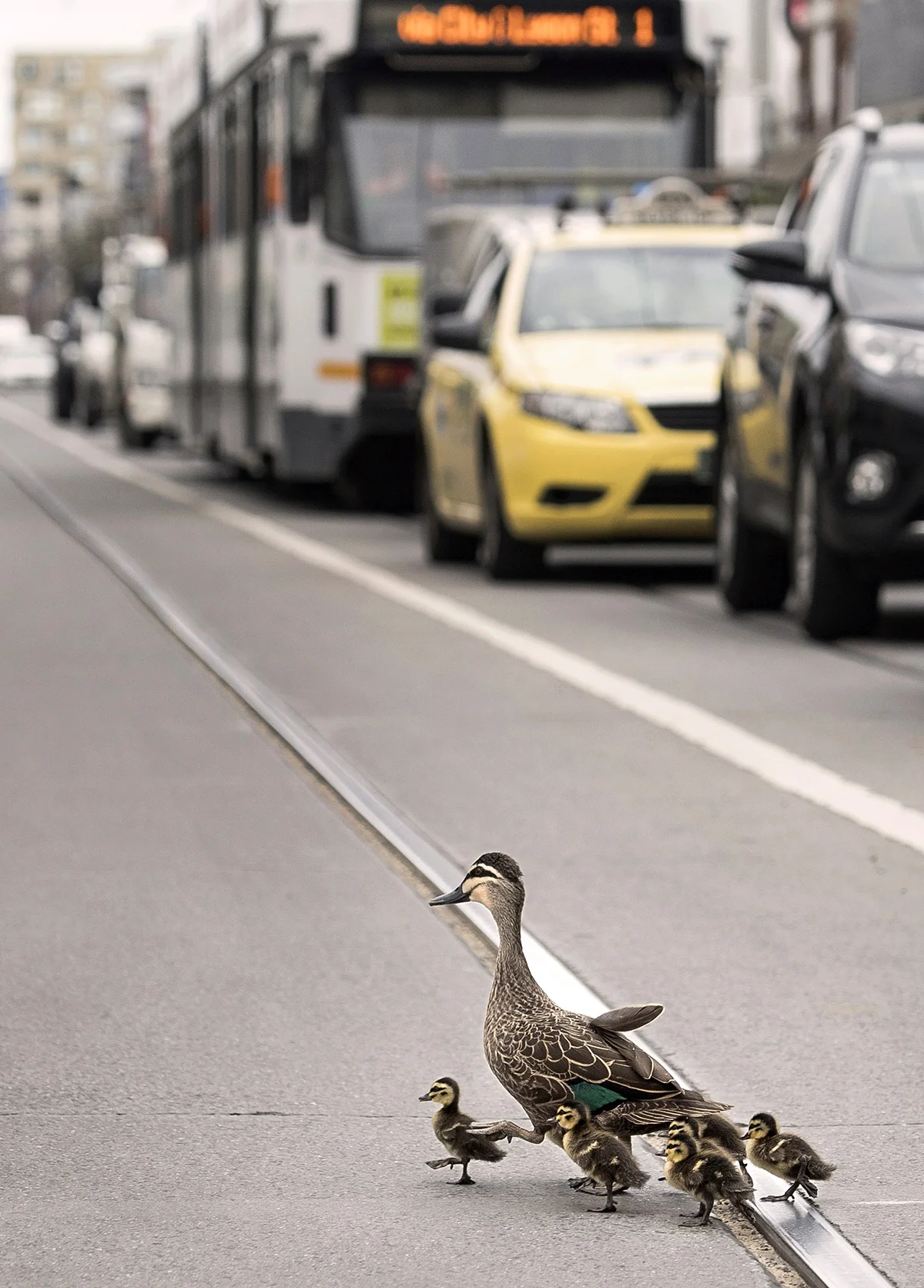 Wait up !