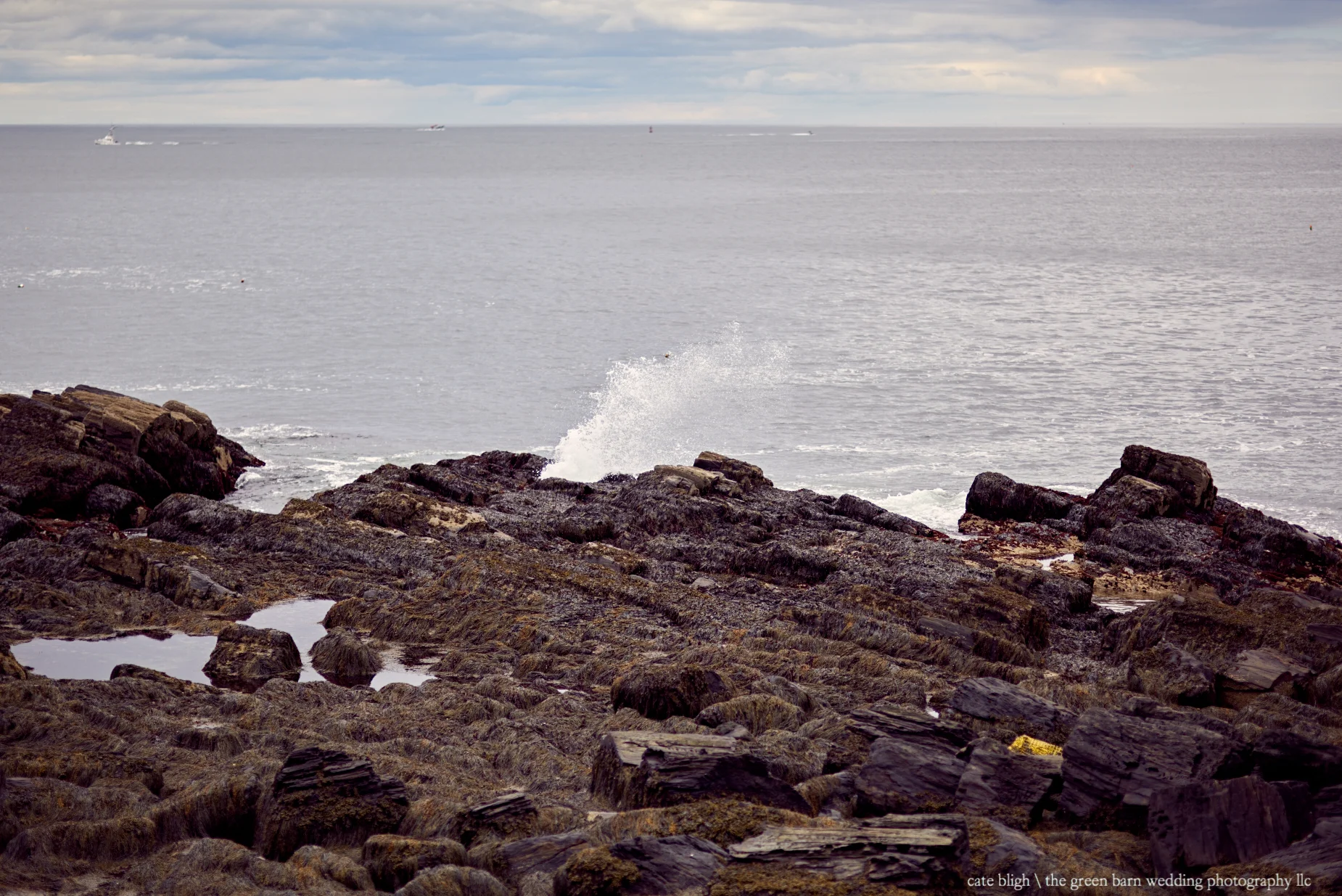 summer-seacoast-wedding-in-portland-maine-cate-bligh.jpg