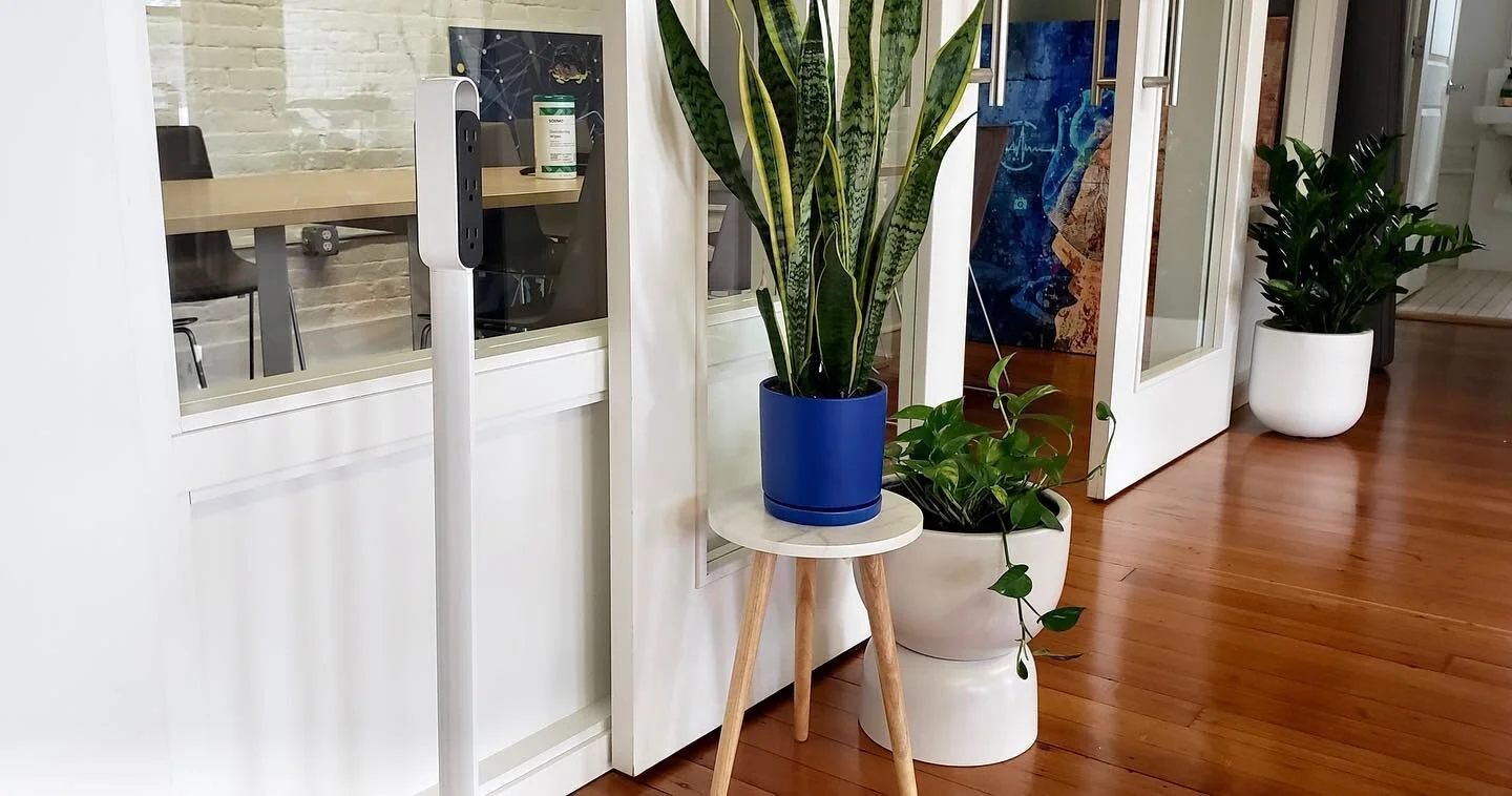 Wrapping up one of most recent interior installations. Get in touch if you need to add some life to your office.