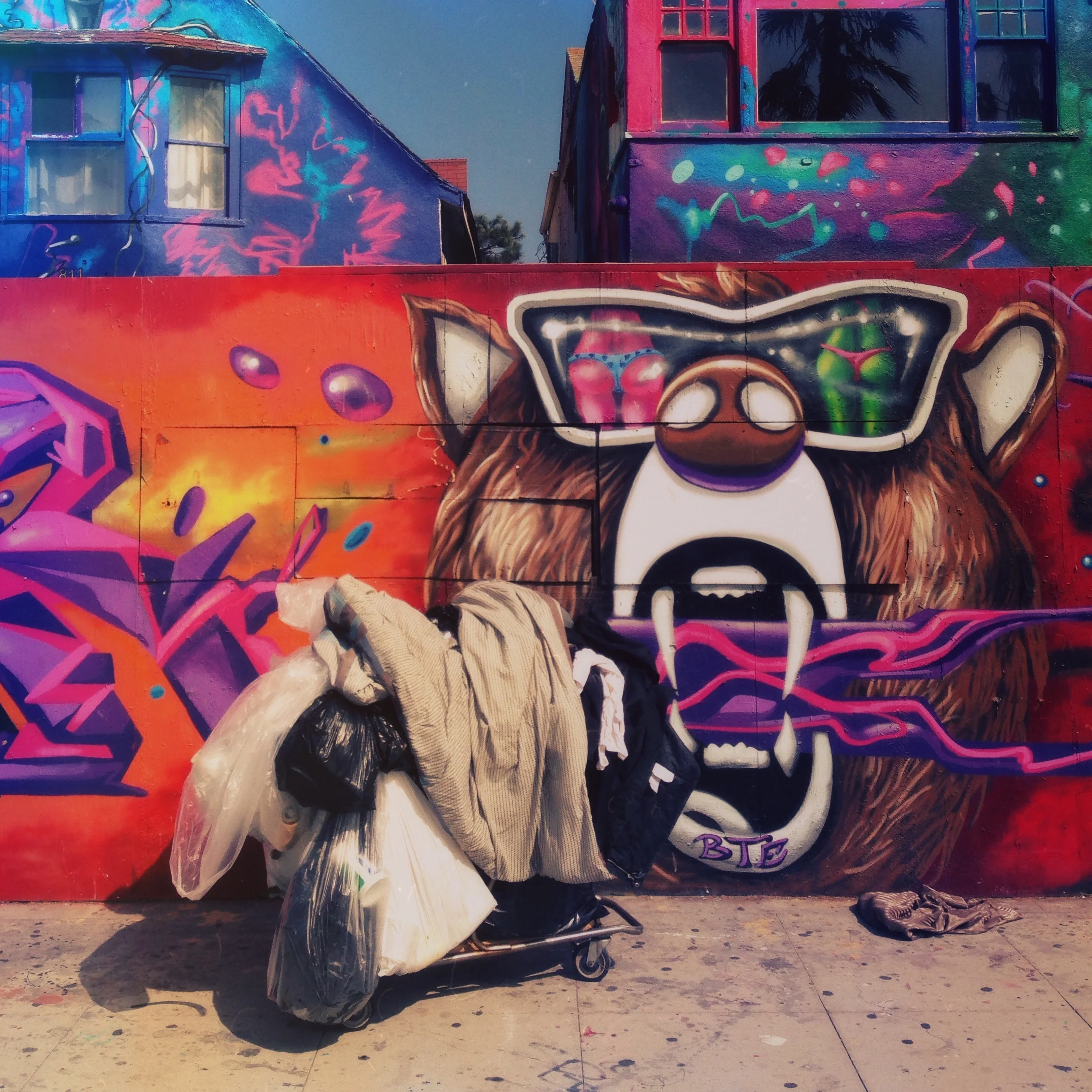 Bear Necessities