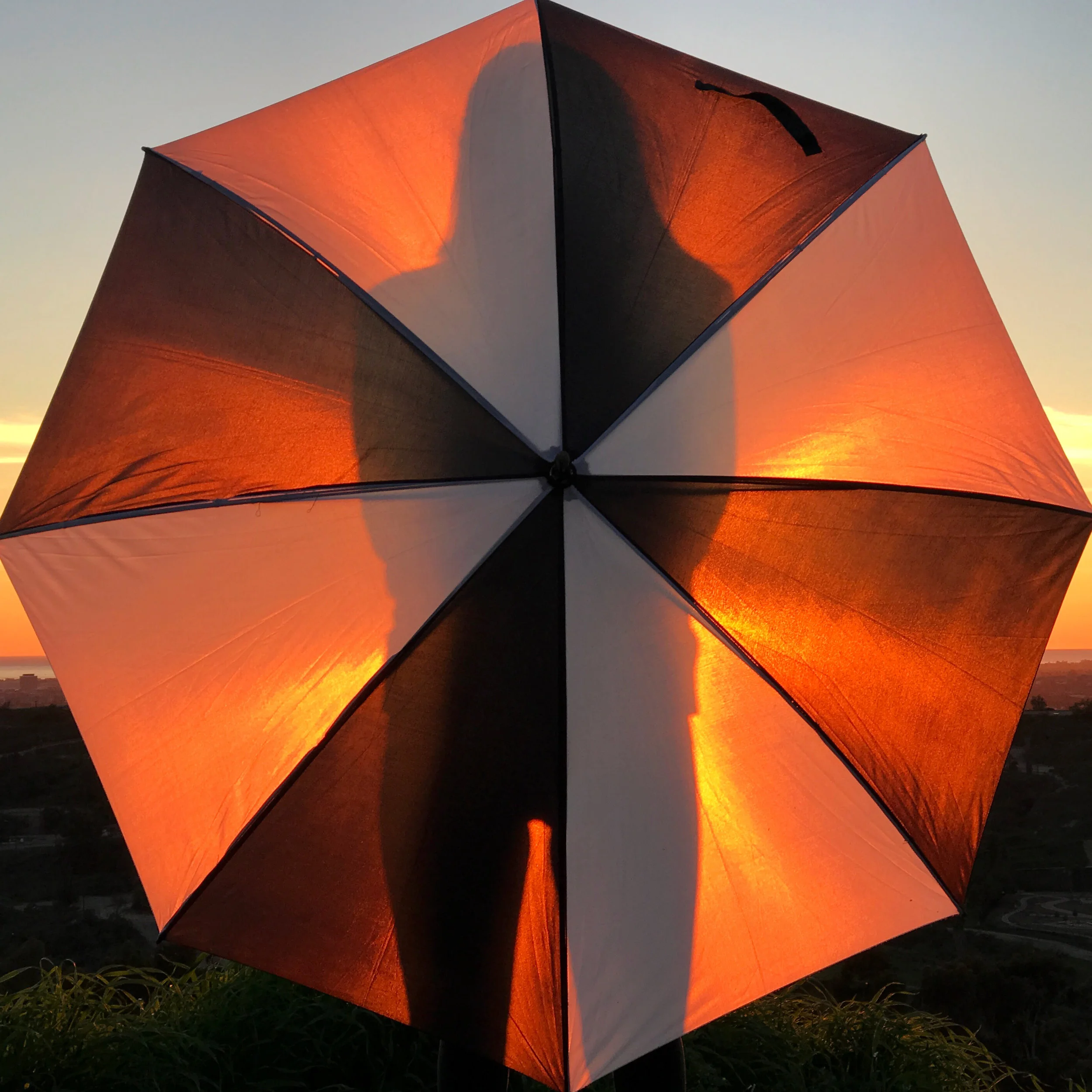 Taking Back Orange