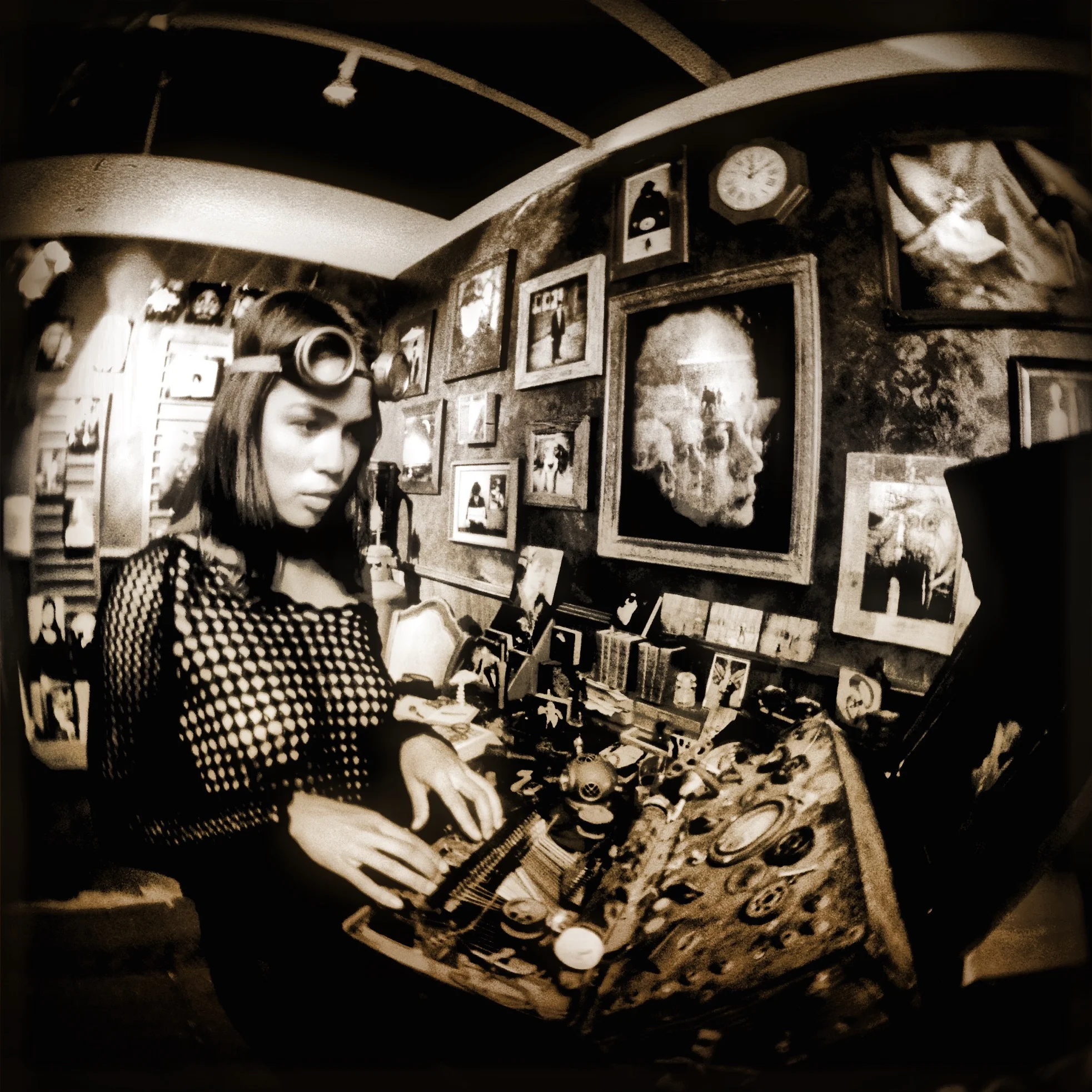 The Curiosity Shop