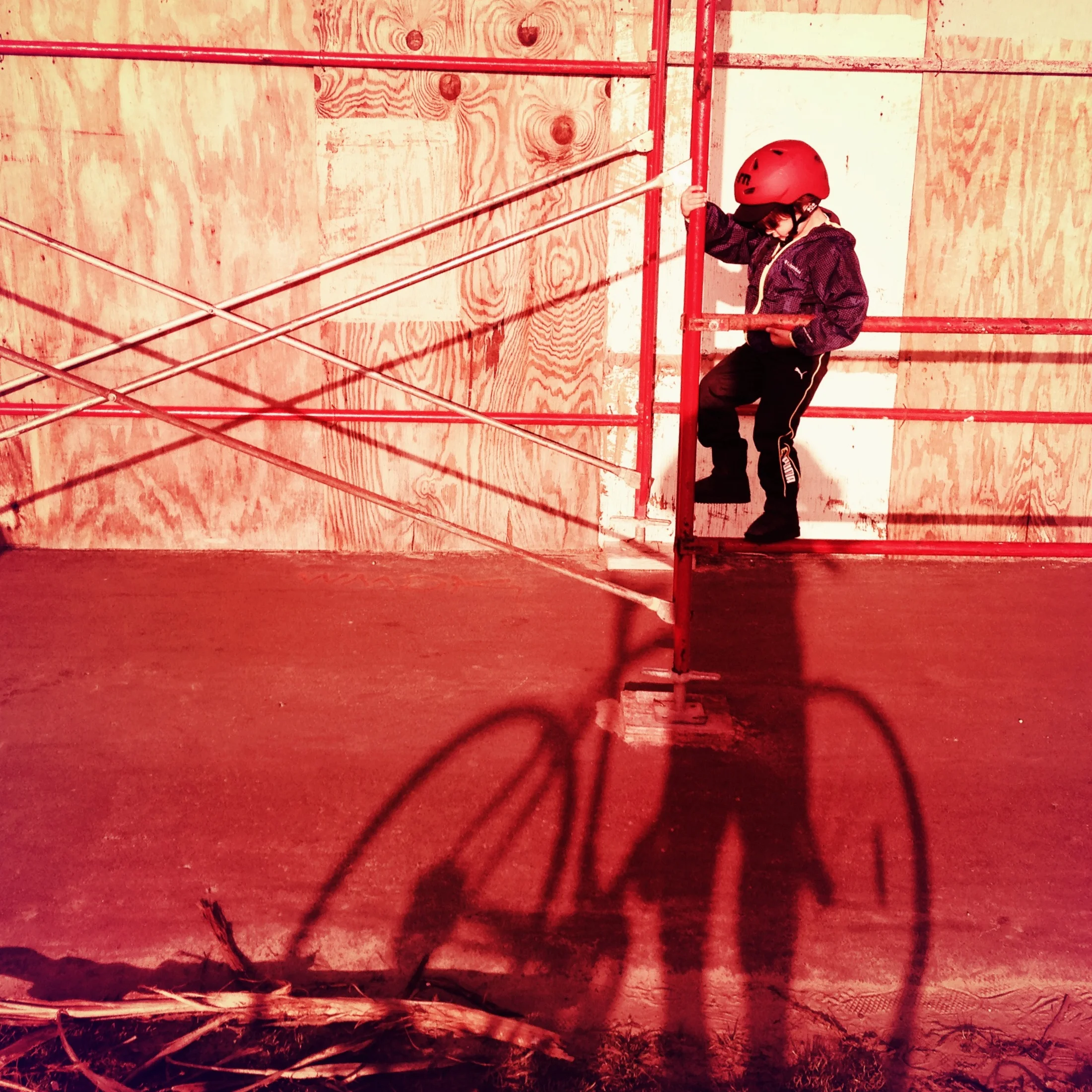 Red Head