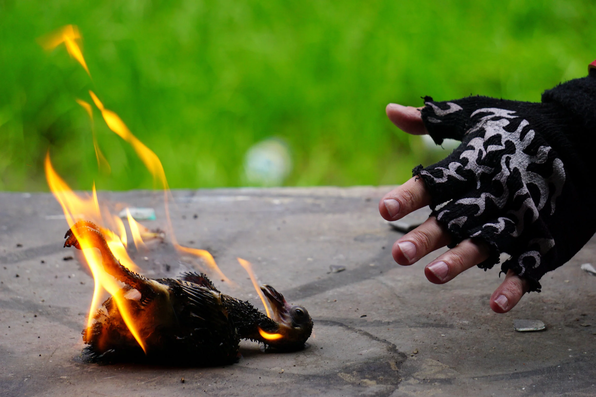Five Finger Fowl Fire