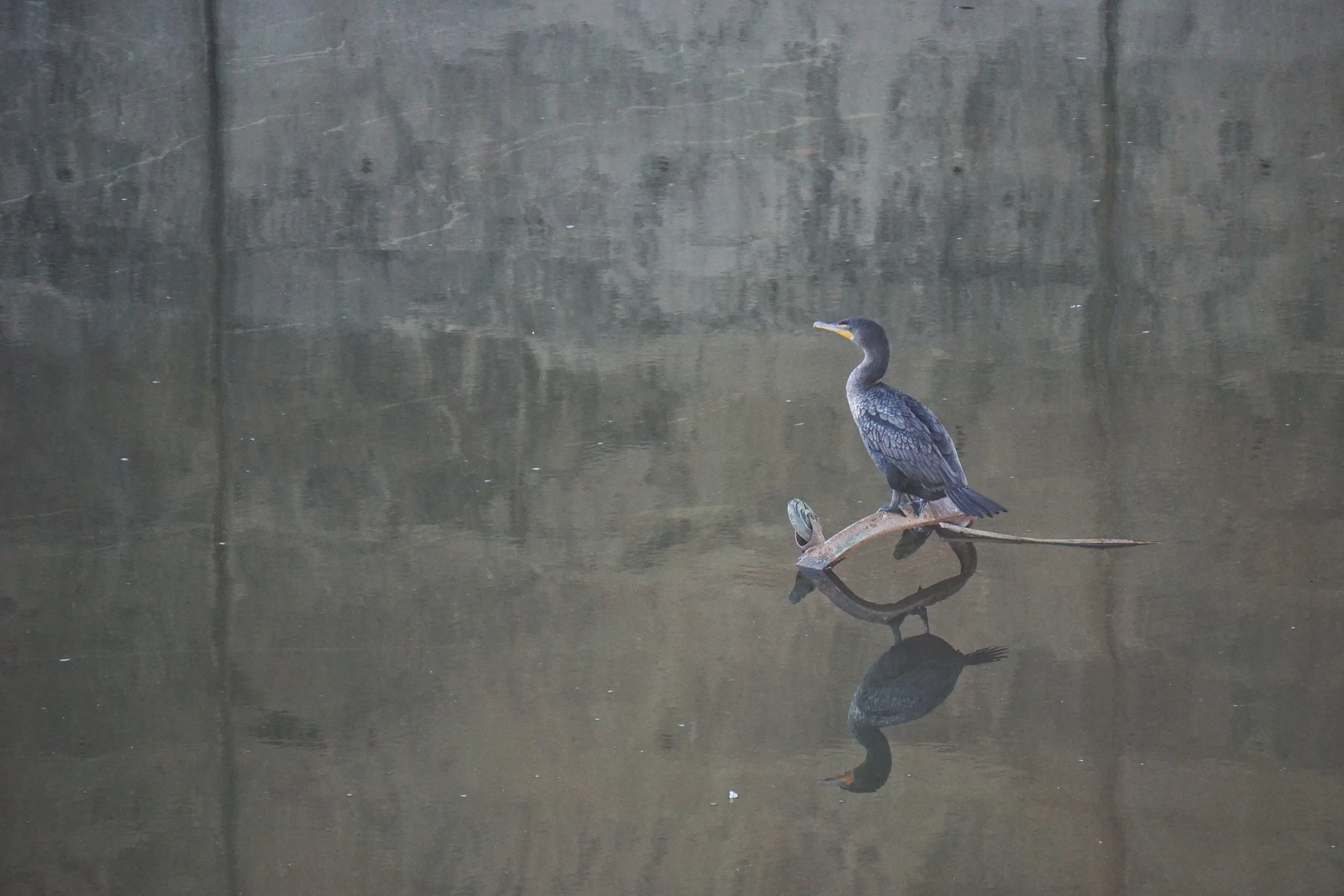 Reflecting on Tuesday