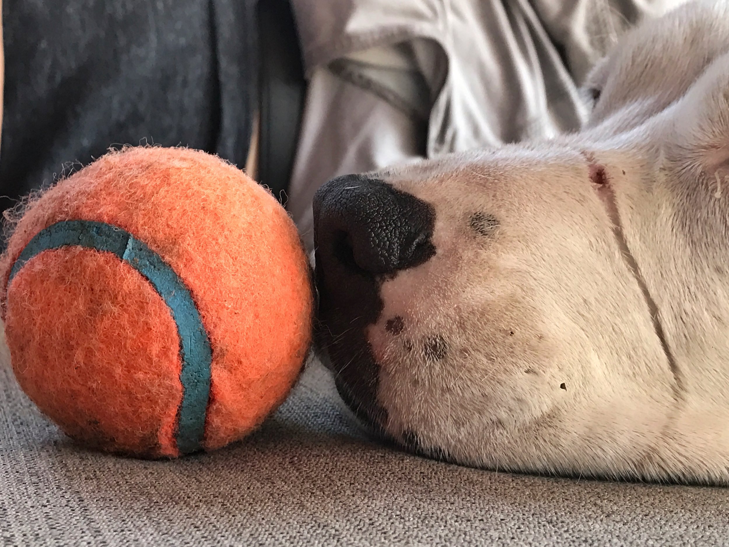On the Ball