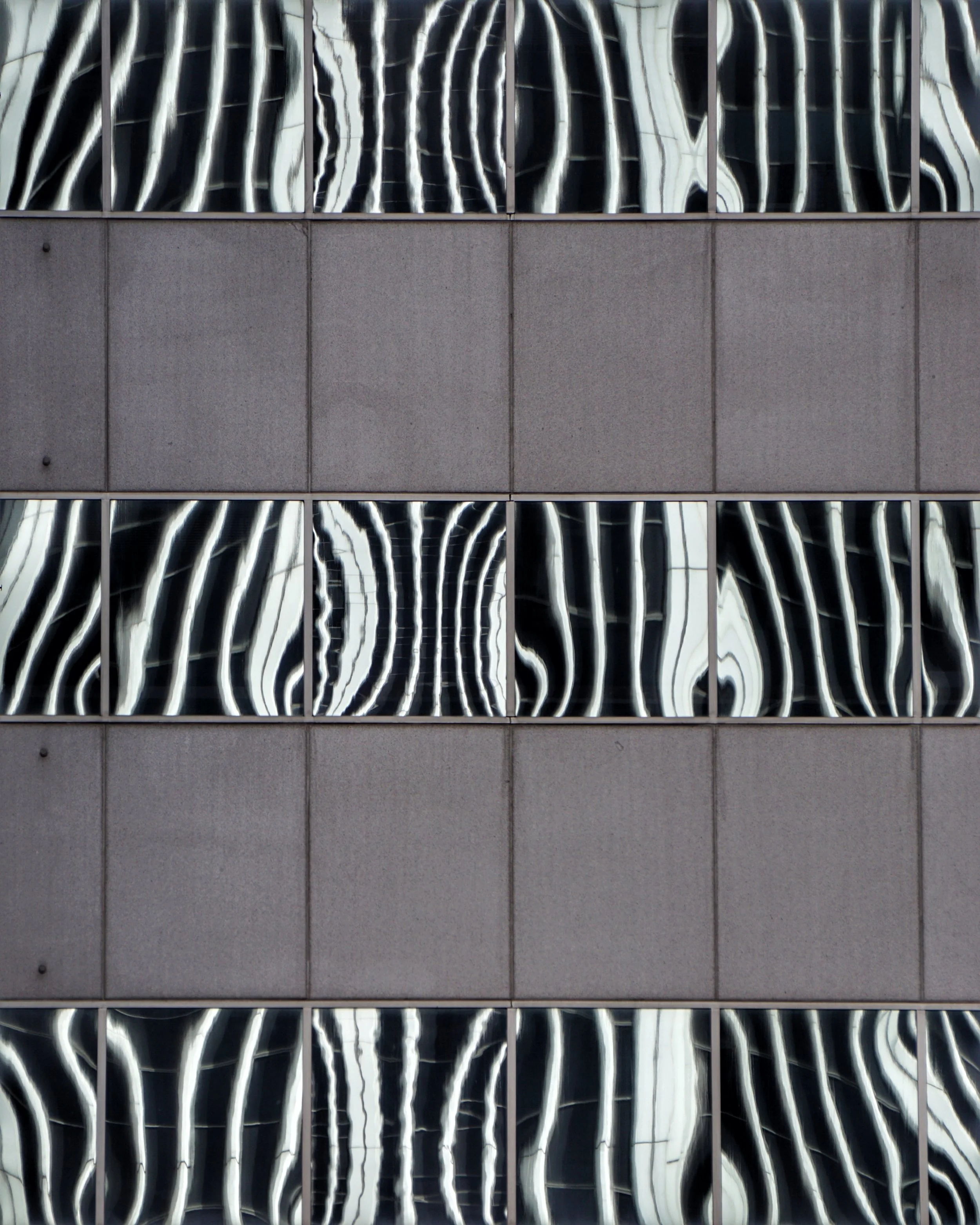 Zebra Crossing