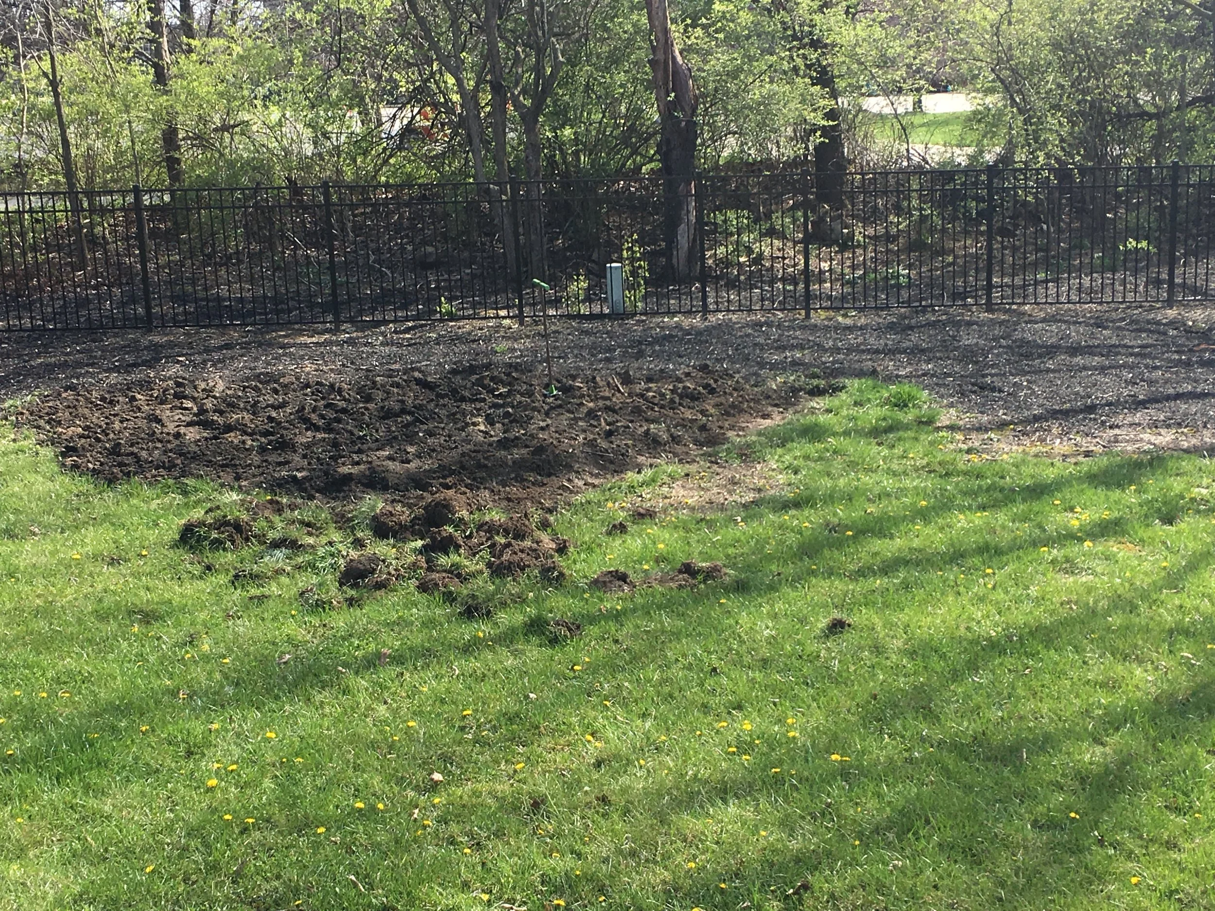 No Beds for Blueberries