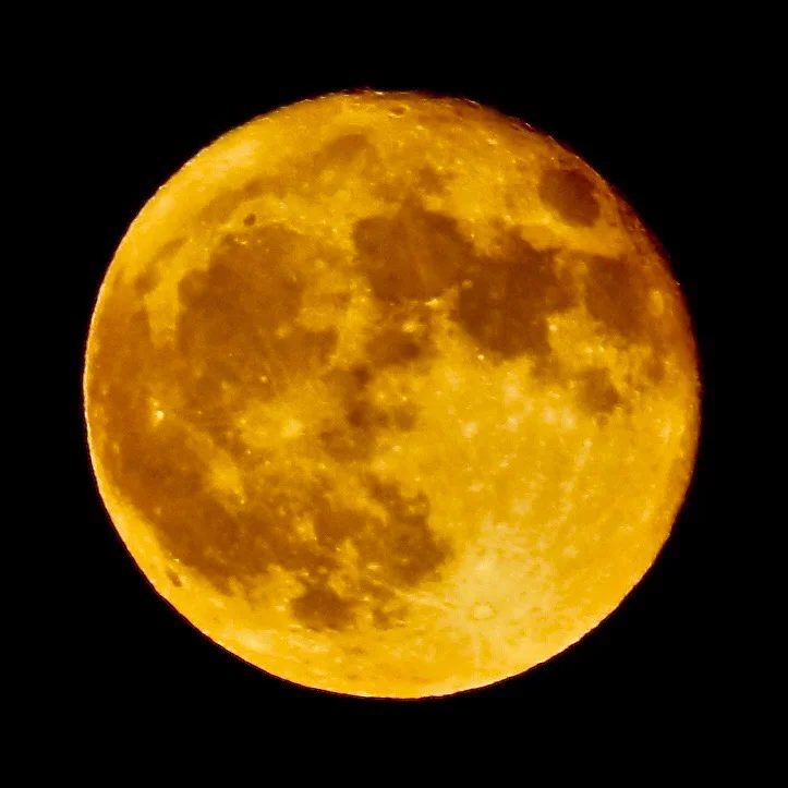 Shoot Hockey Marsh Vrooms - rAveNswAn