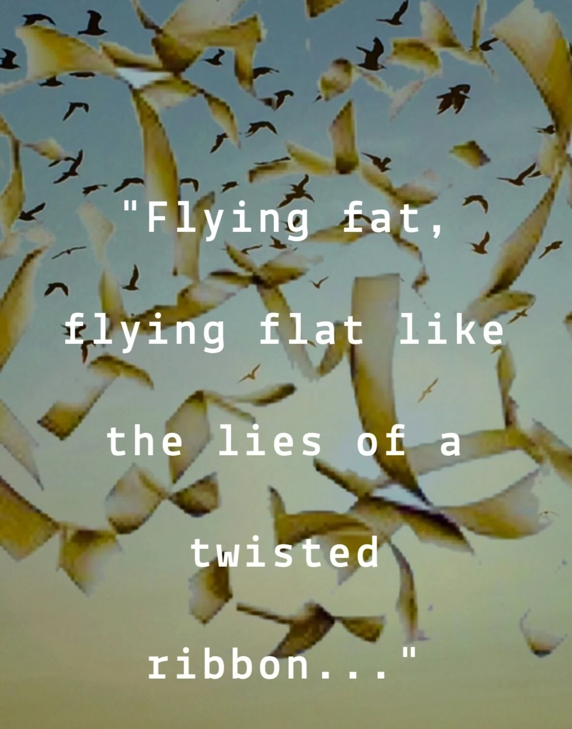 In the Dimension of the Chaotrix - rAveNswAn