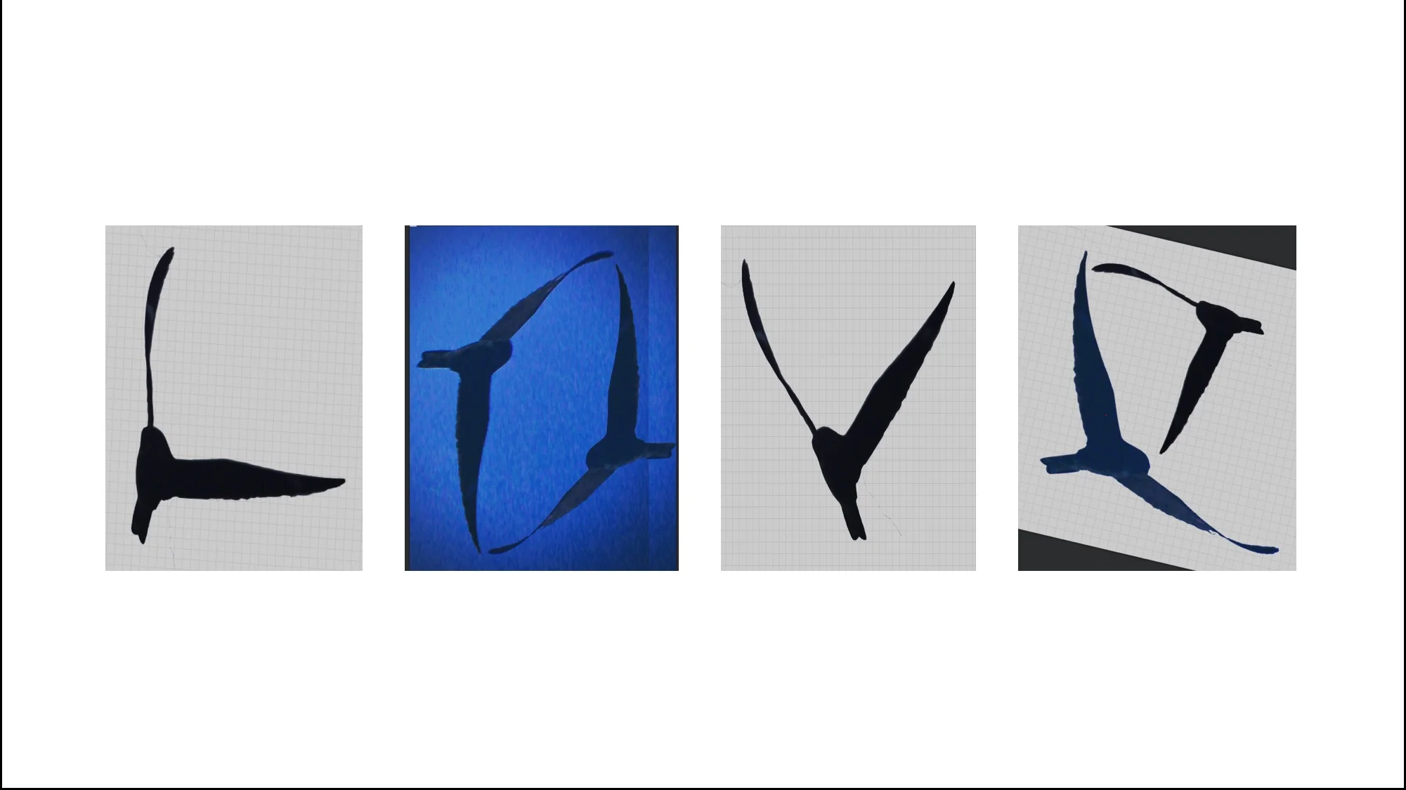 The Optimist’s Handbook - rAveNswAn