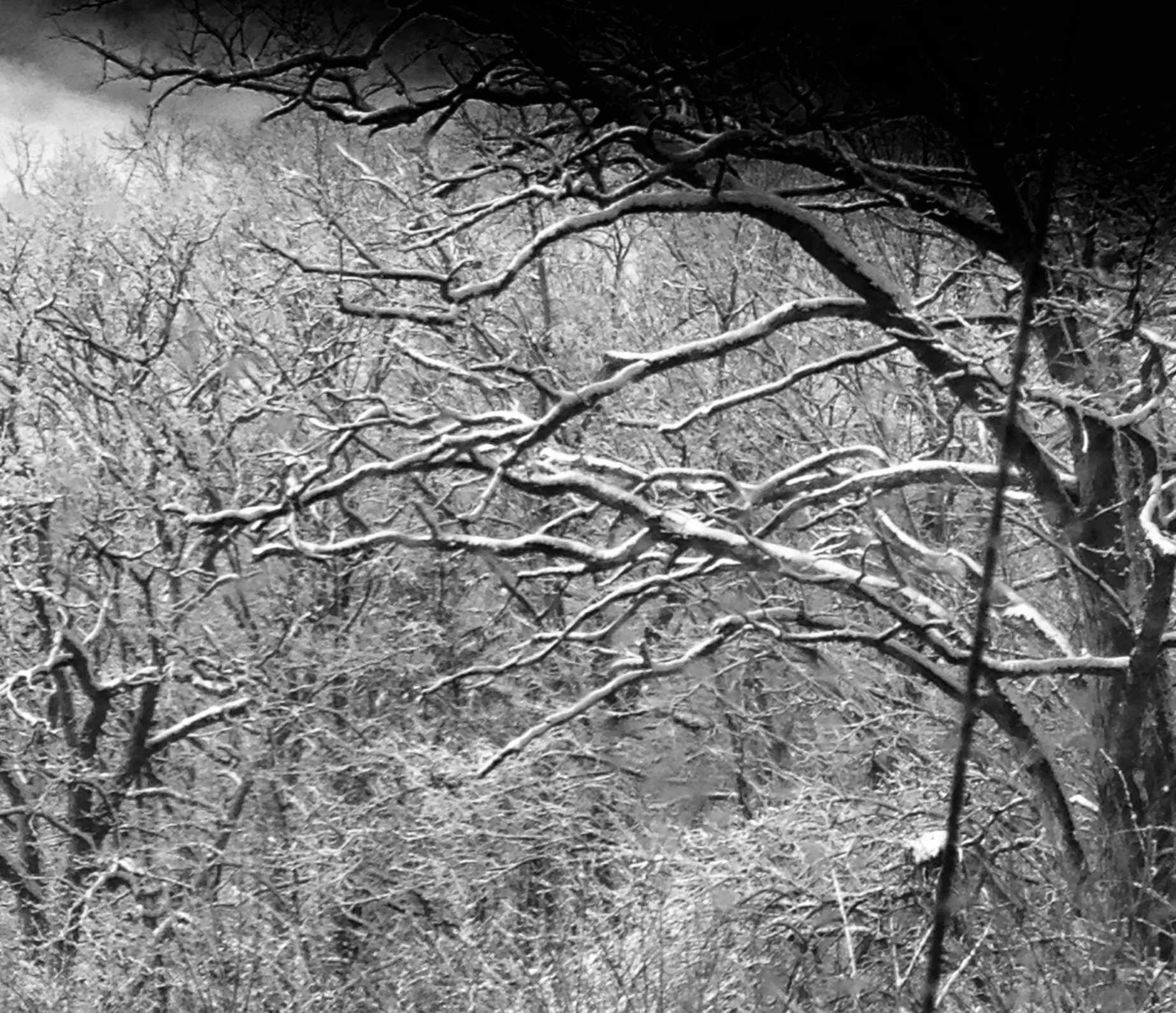 The Murder Mystery - rAveNswAn