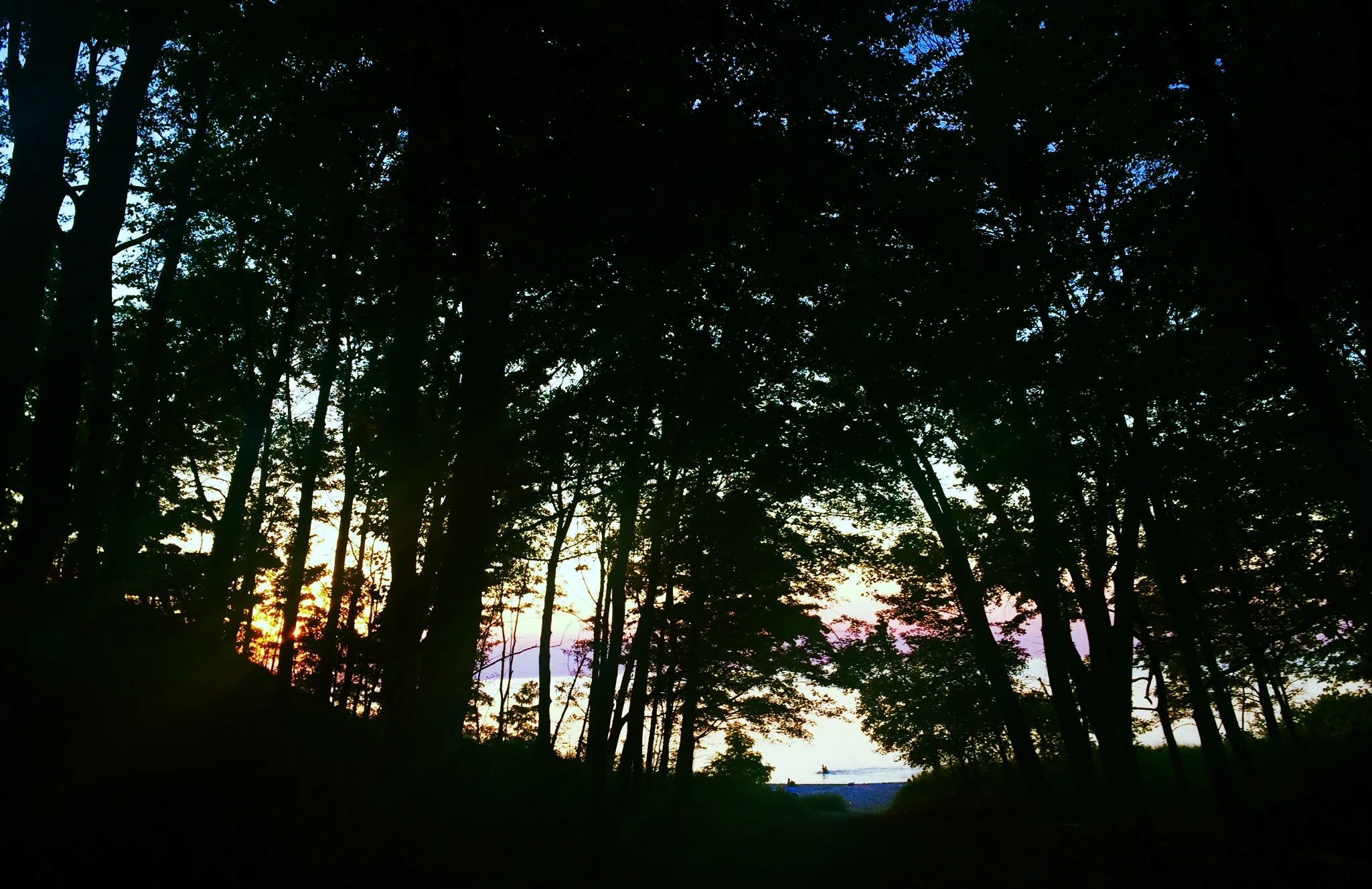 When Our Paths Cross Again - rAveNswAn