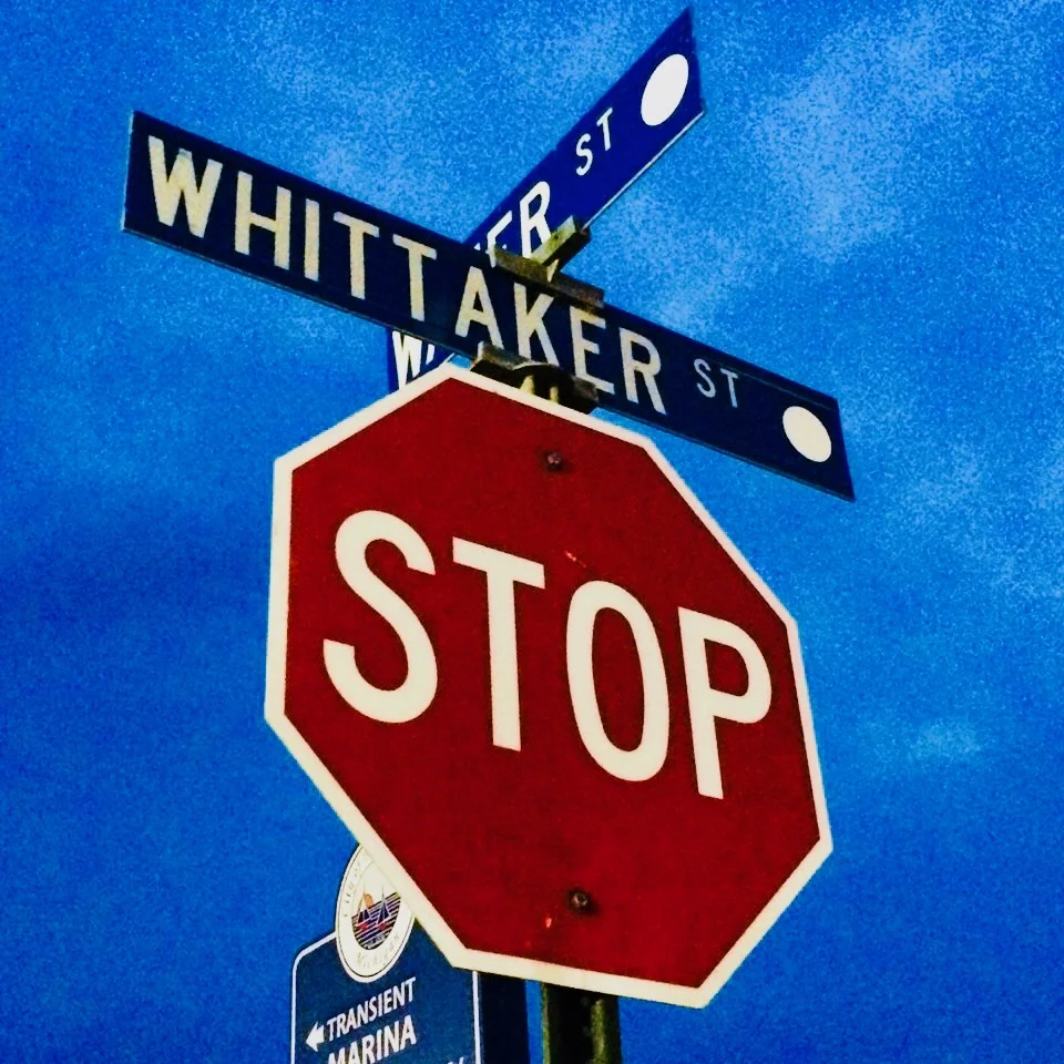 A Headstone At The Corner of Whittaker And Water - rAveNswAn