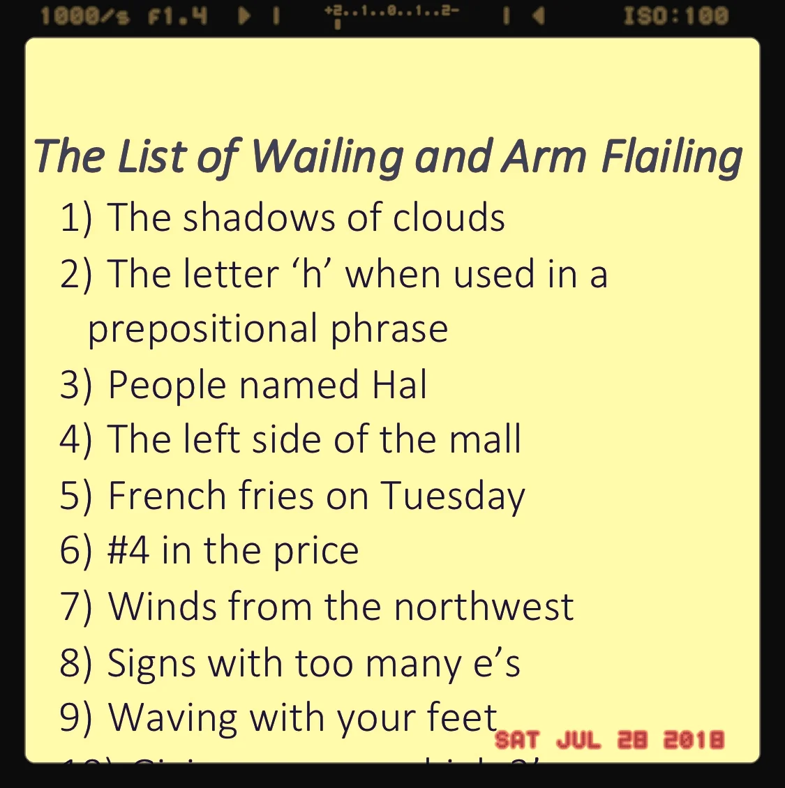 The List Of Wailing And Arm Flailing - rAveNswAn