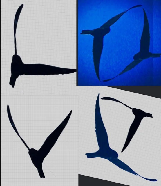 Never Thought I’d Know Love