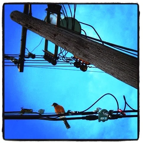 It’s So Easy To Die - rAveNswAn