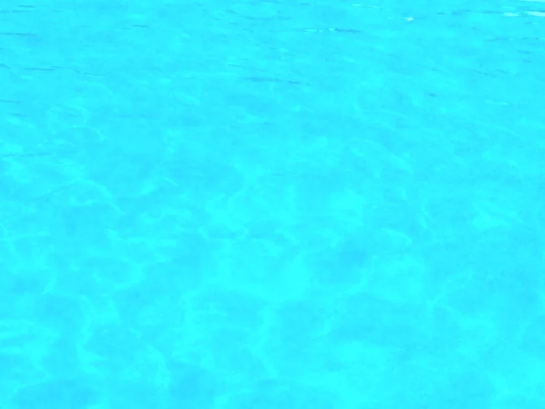 In The Land Of Sync Think