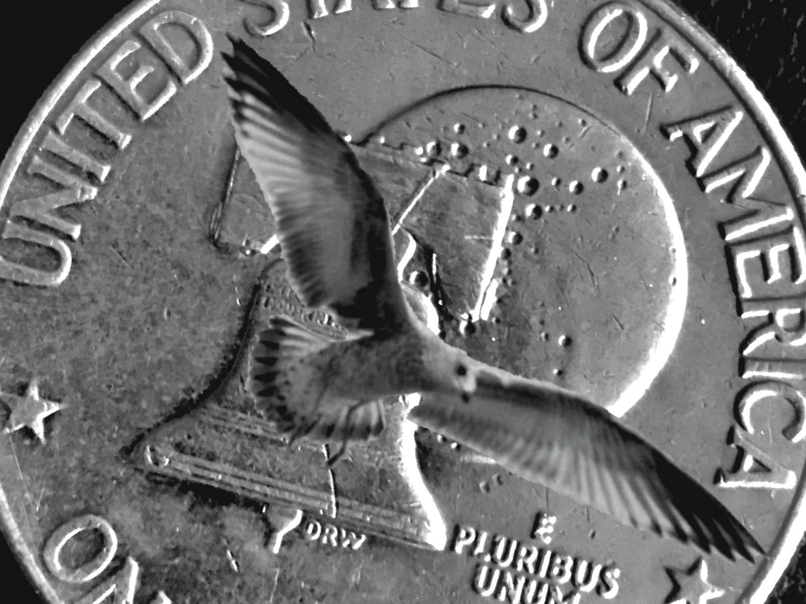 It Was Love At First Night