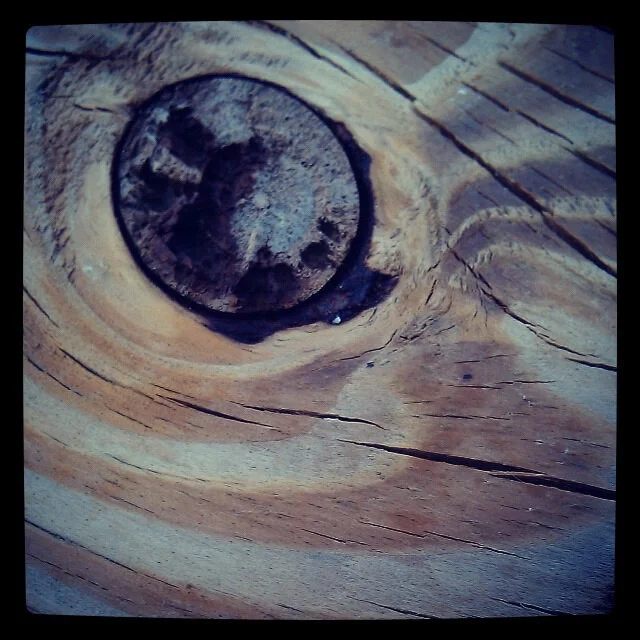 Even My Horse Knows I’m To Blame