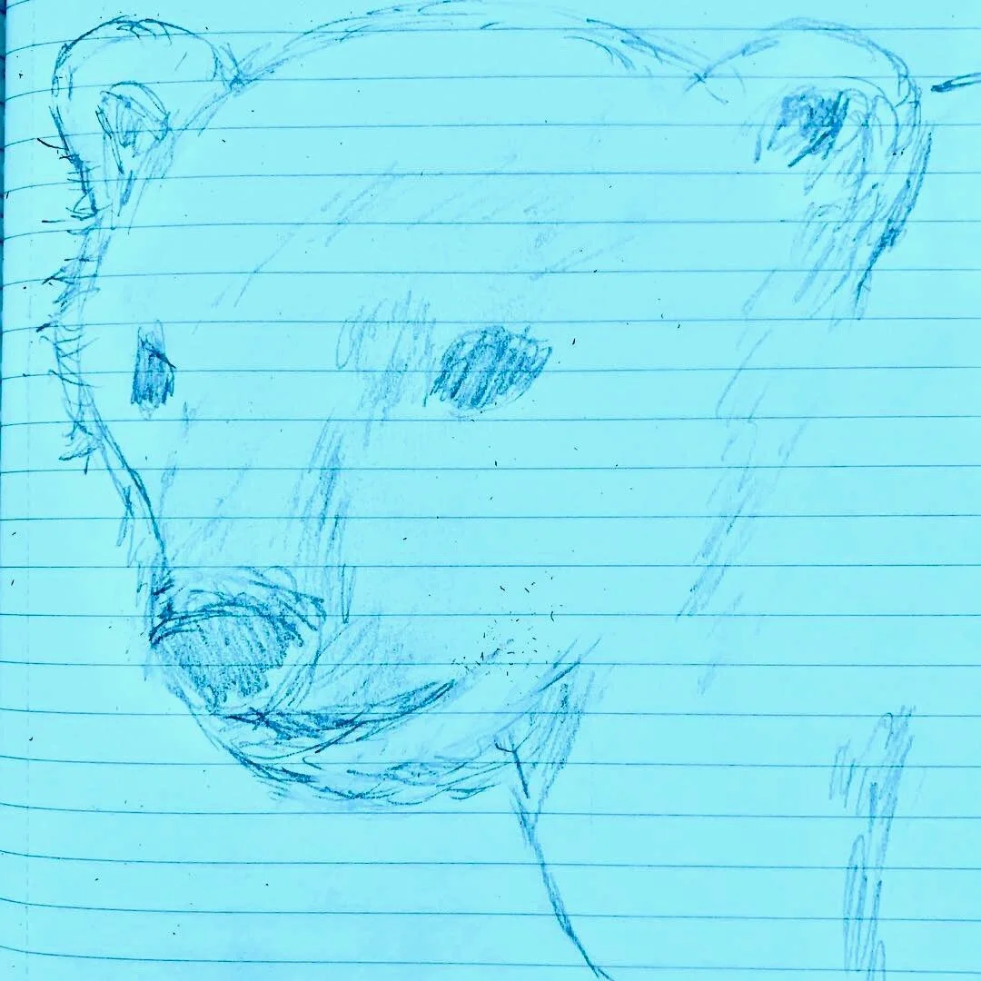 Yang’s Not So Dark But Scary Story