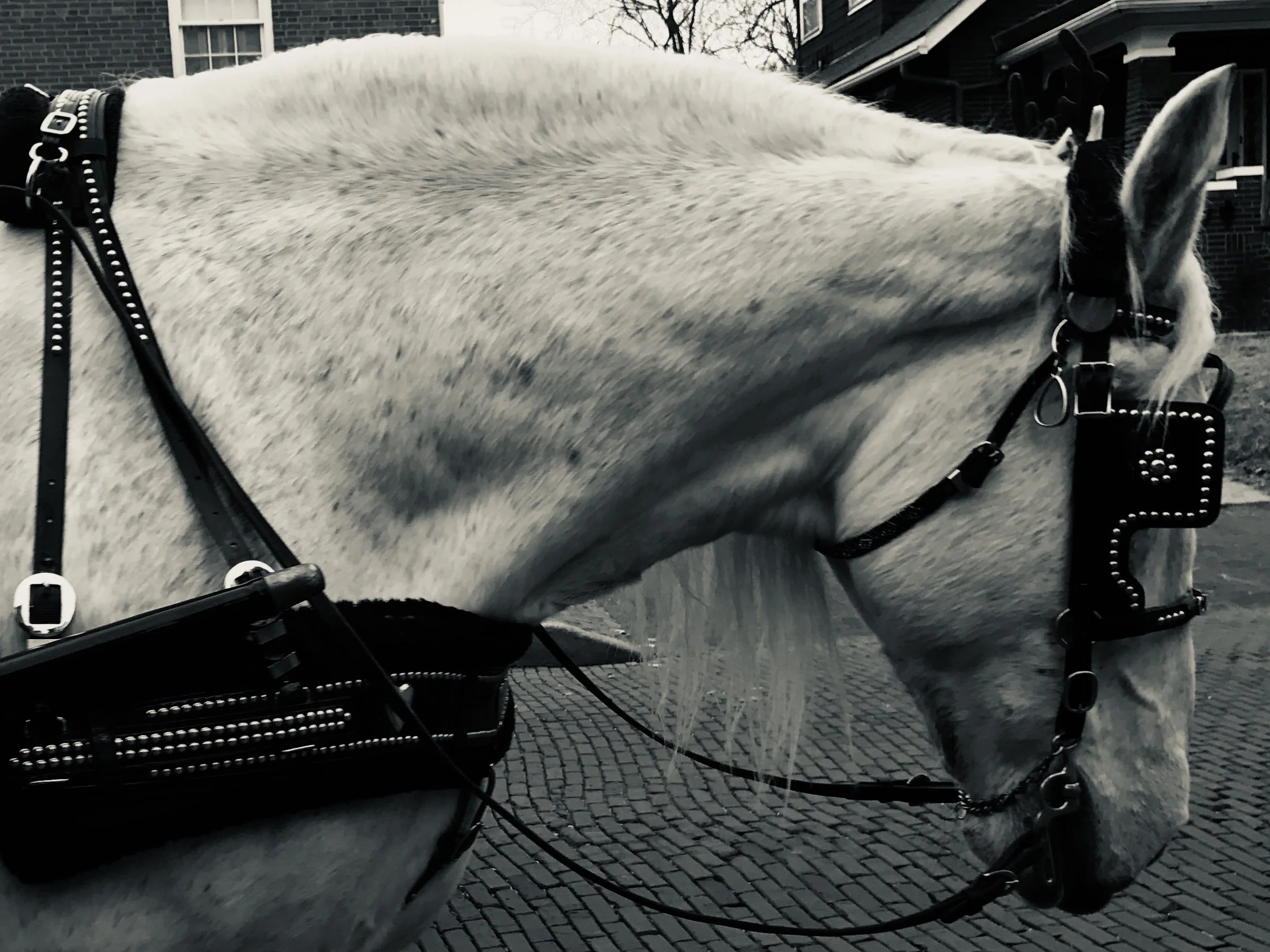 But You Chose To Put On Dem Blinders