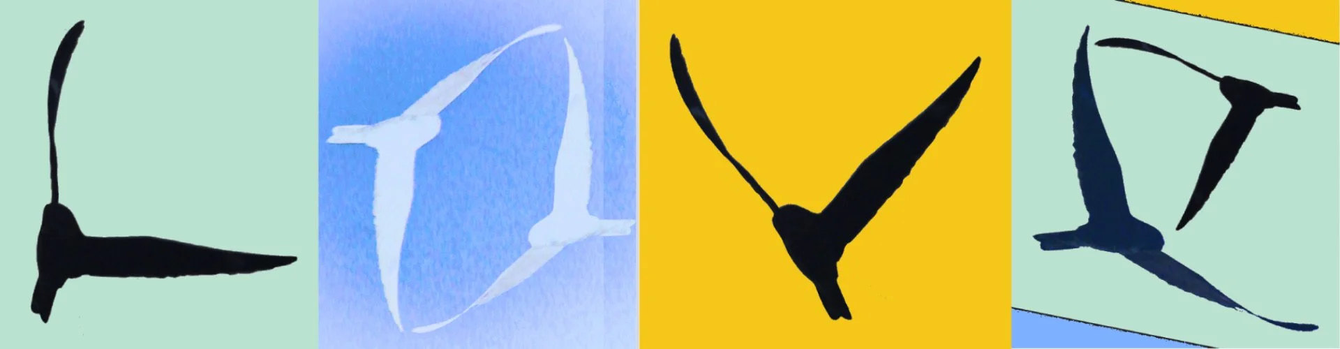 Who She Gets Vs Who She Deserves