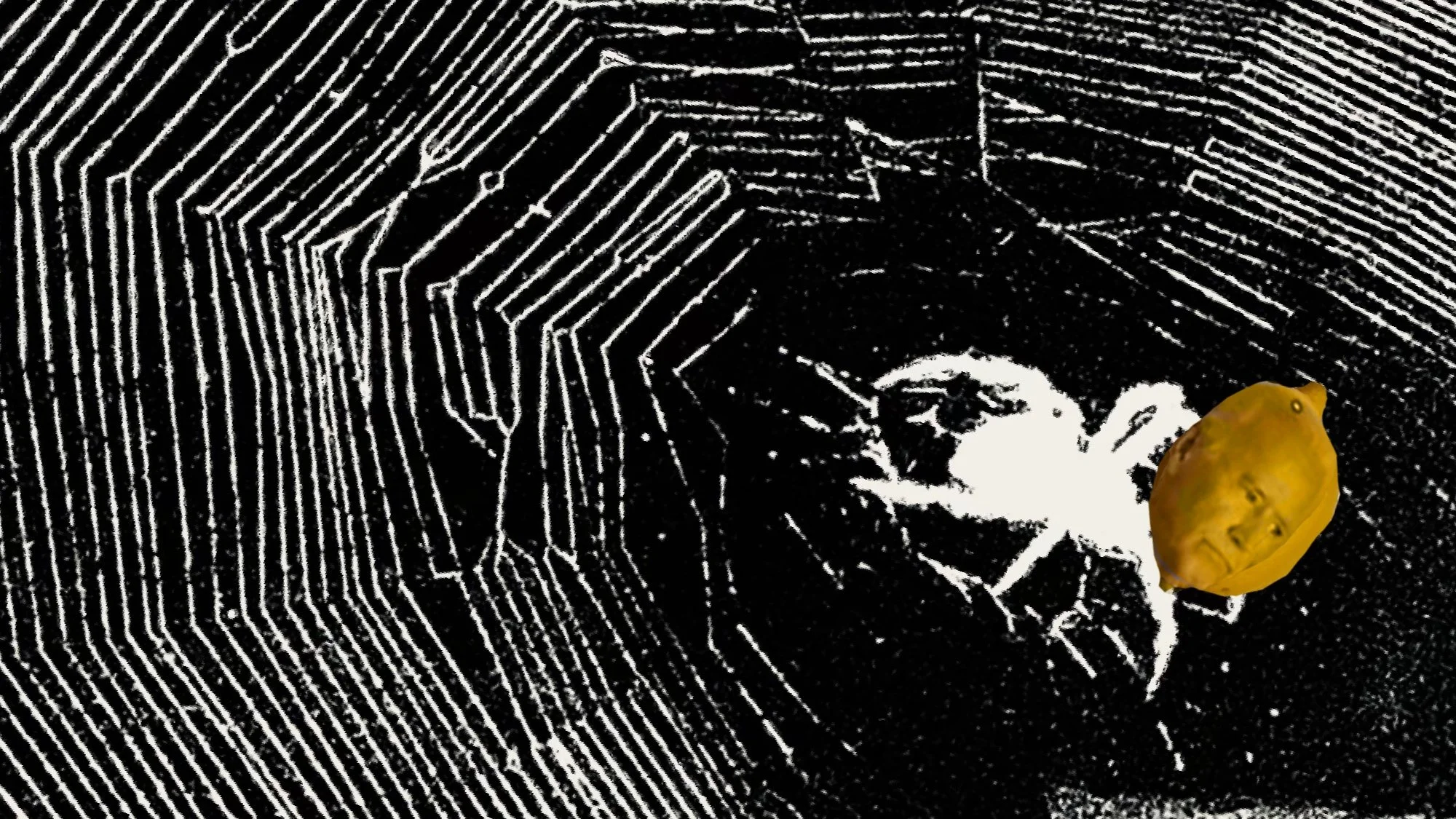 The ForBiden Fruit Spider’s Web of Lies