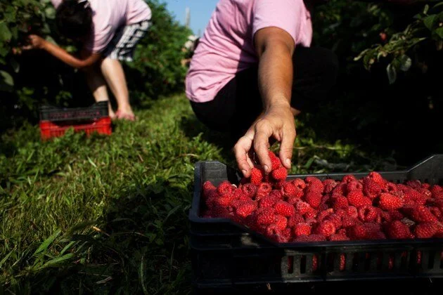 Valor compartido y cómo activar economías locales a través de él