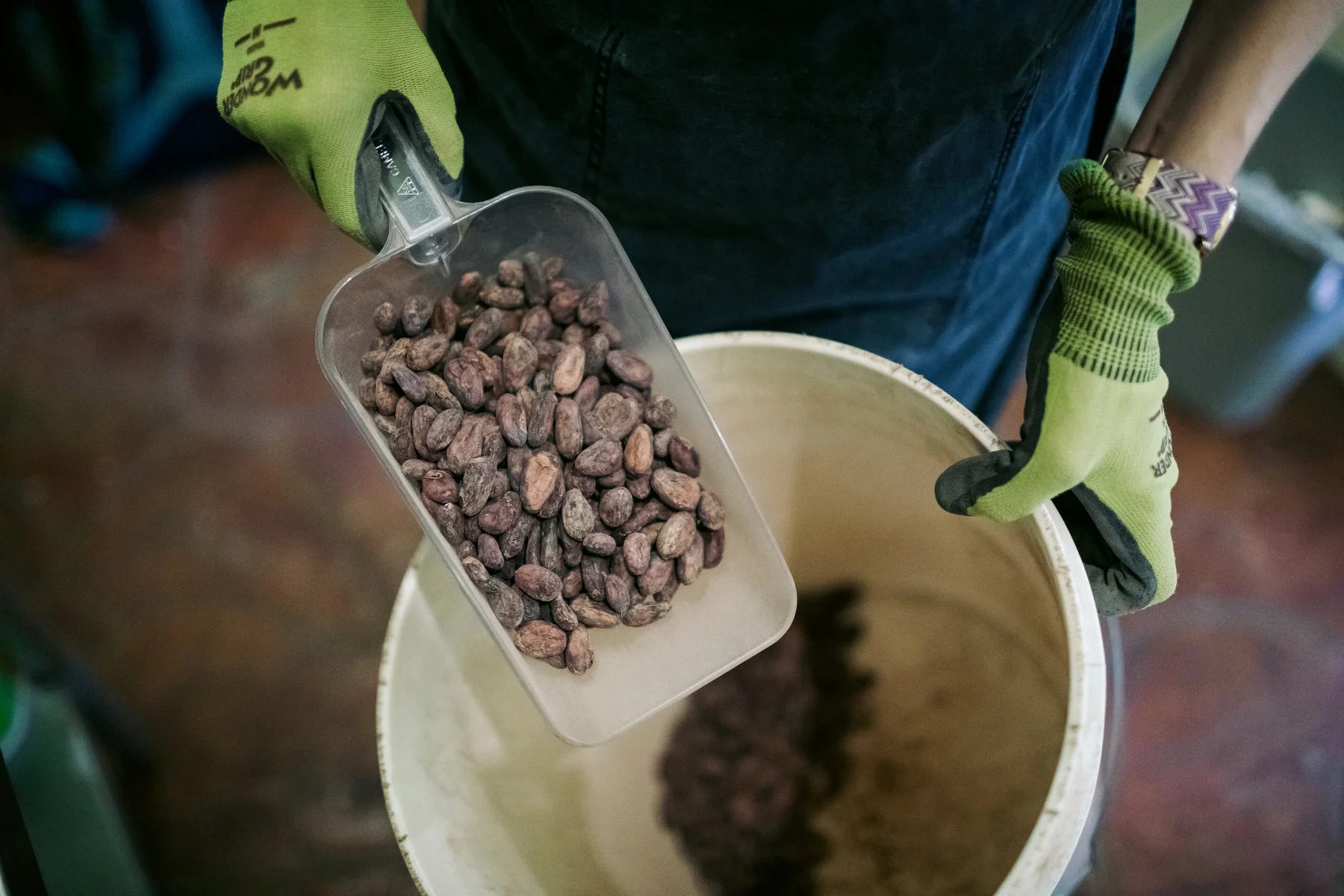 Cómo se creó valor compartido a través del cacao