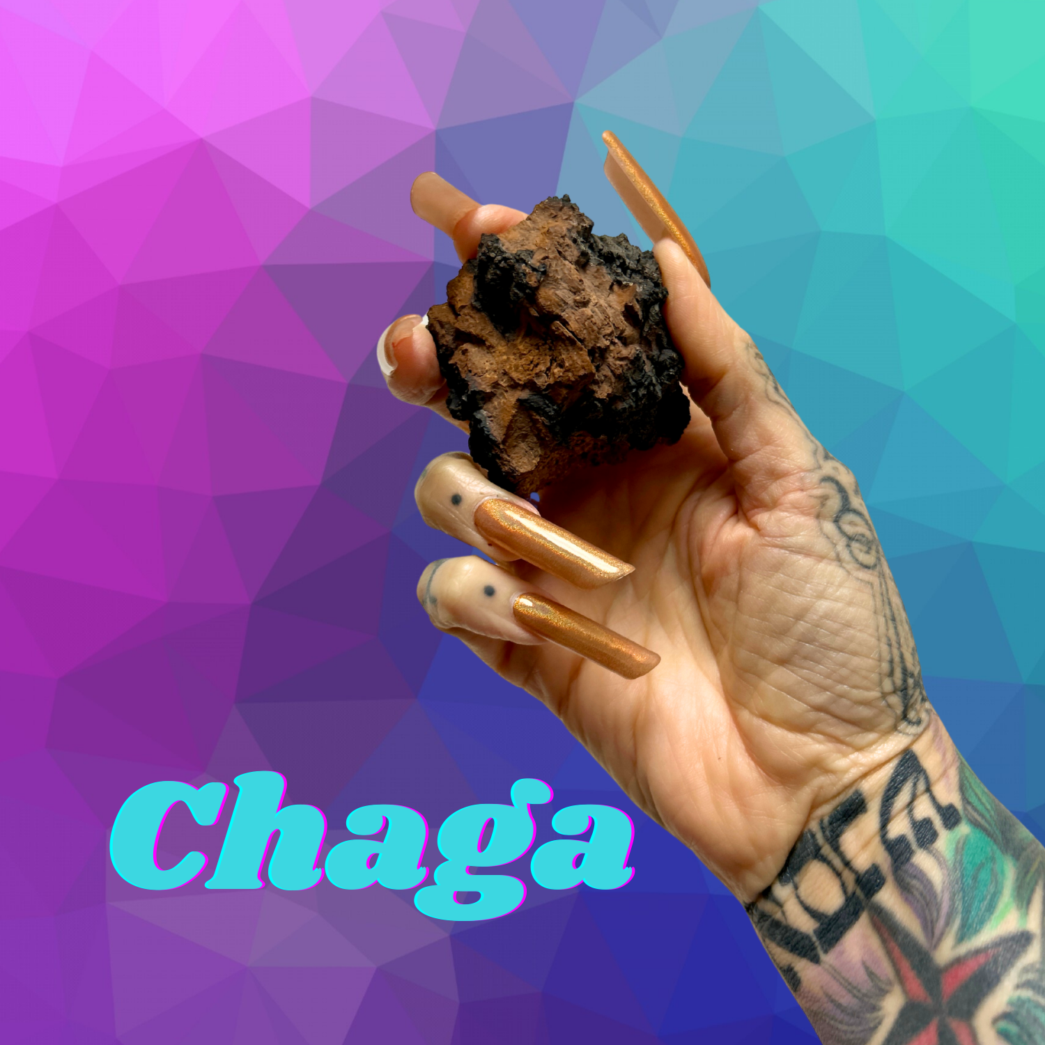 chaga-extract.webp