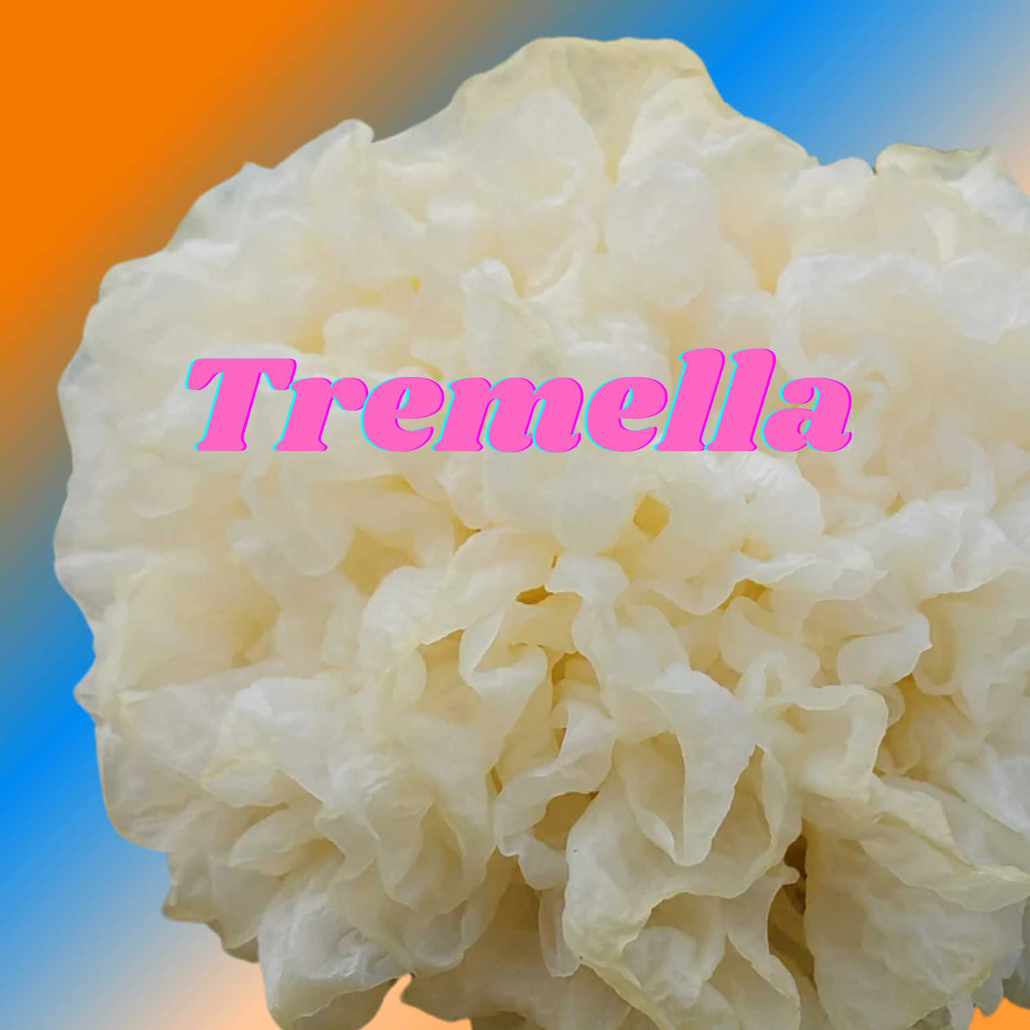 Tremella-Hand.png