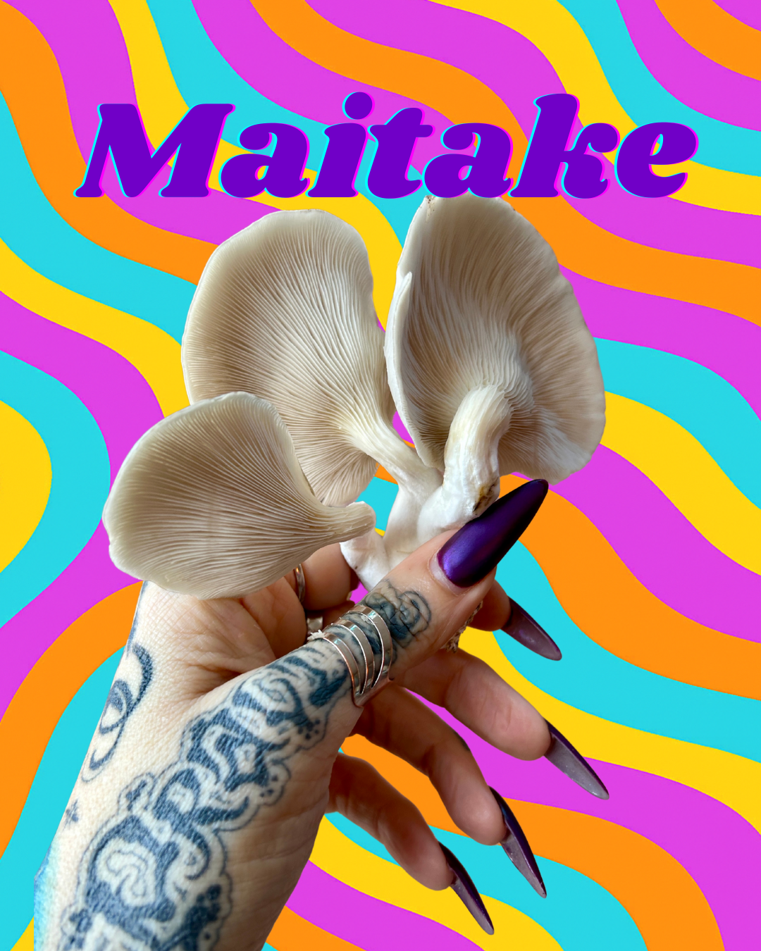 Maitake Mushroom