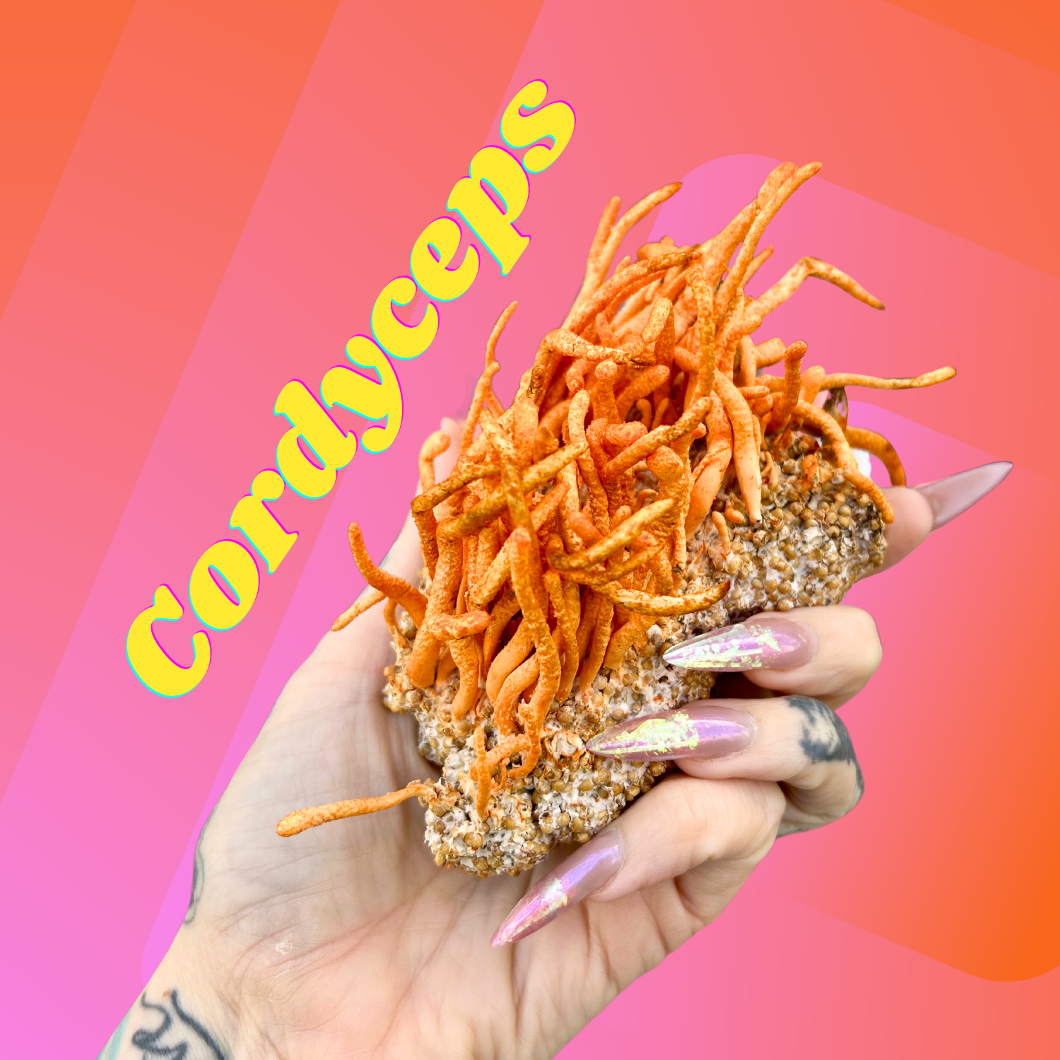 Cordy-Hand.png