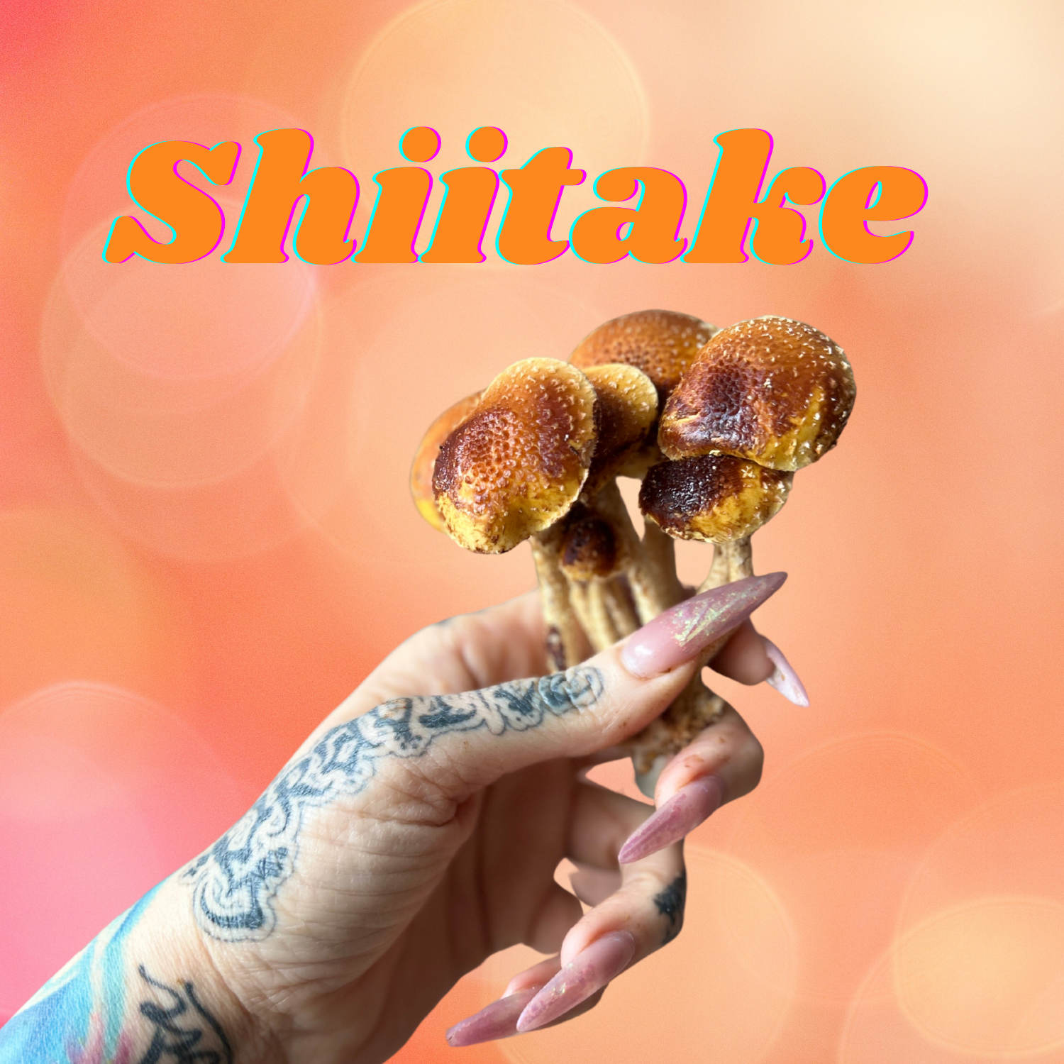 shii-Hand.png