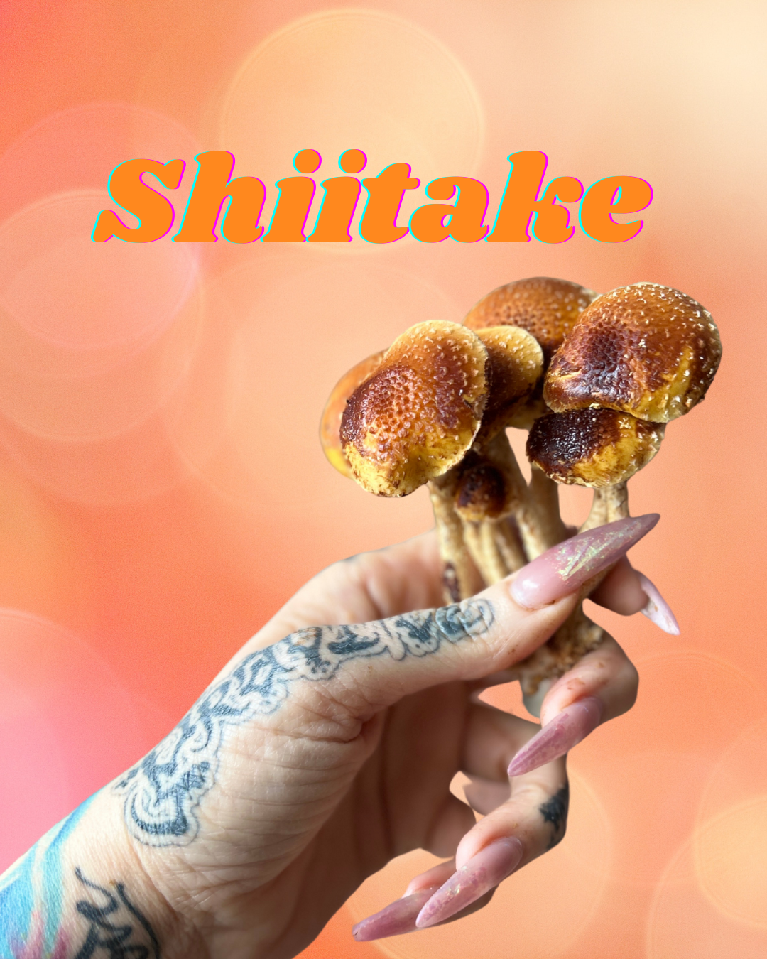 Shiitake Mushroom
