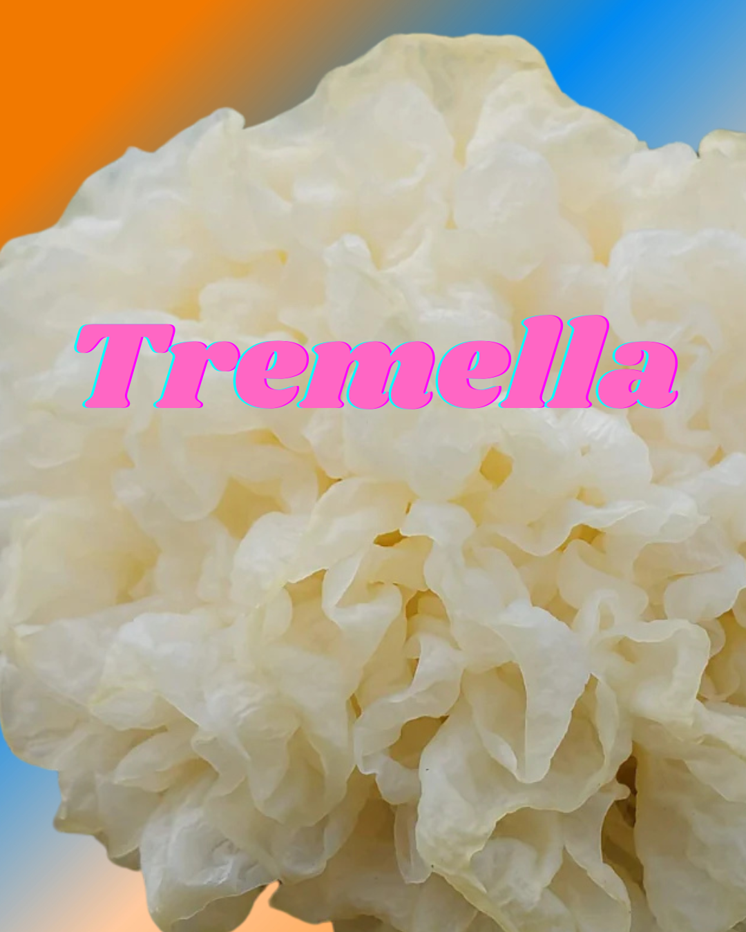 Tremella Mushroom